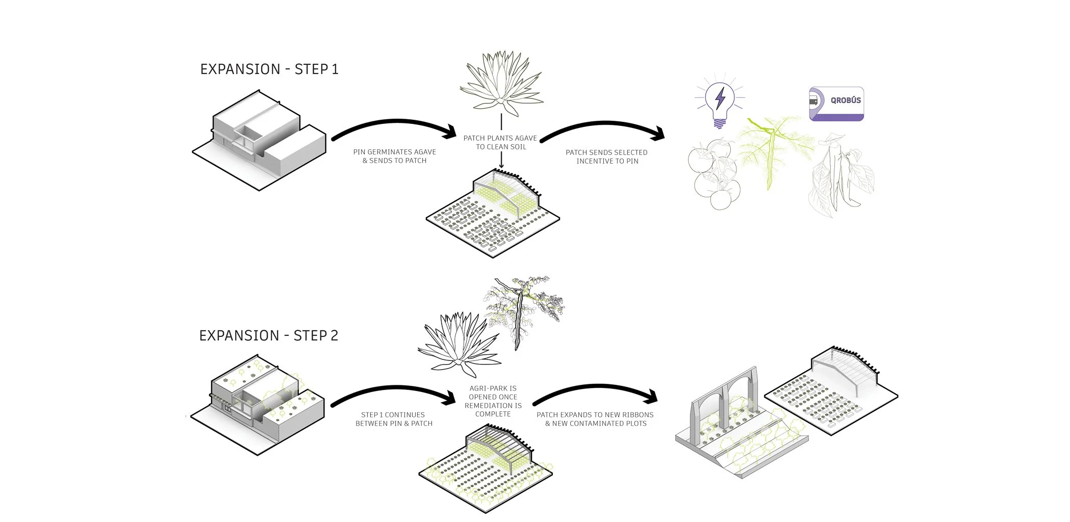 Diagram illustrating a two-step expansion process for an agricultural project involving planting, patching, and opening an agri-park with new contaminated plots.