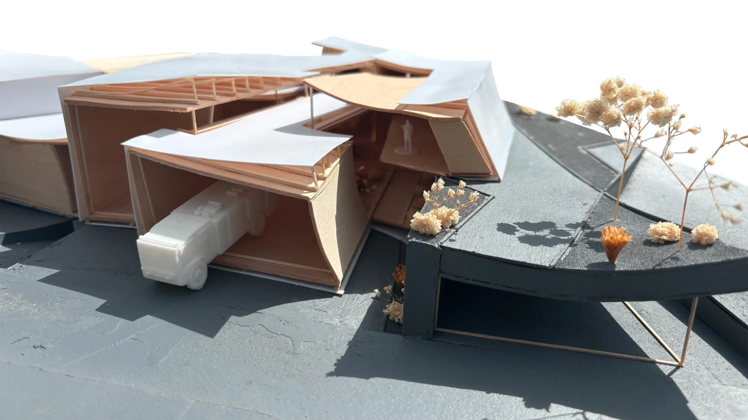 Frisina_arch-04 - Alexander Frisina.jpg