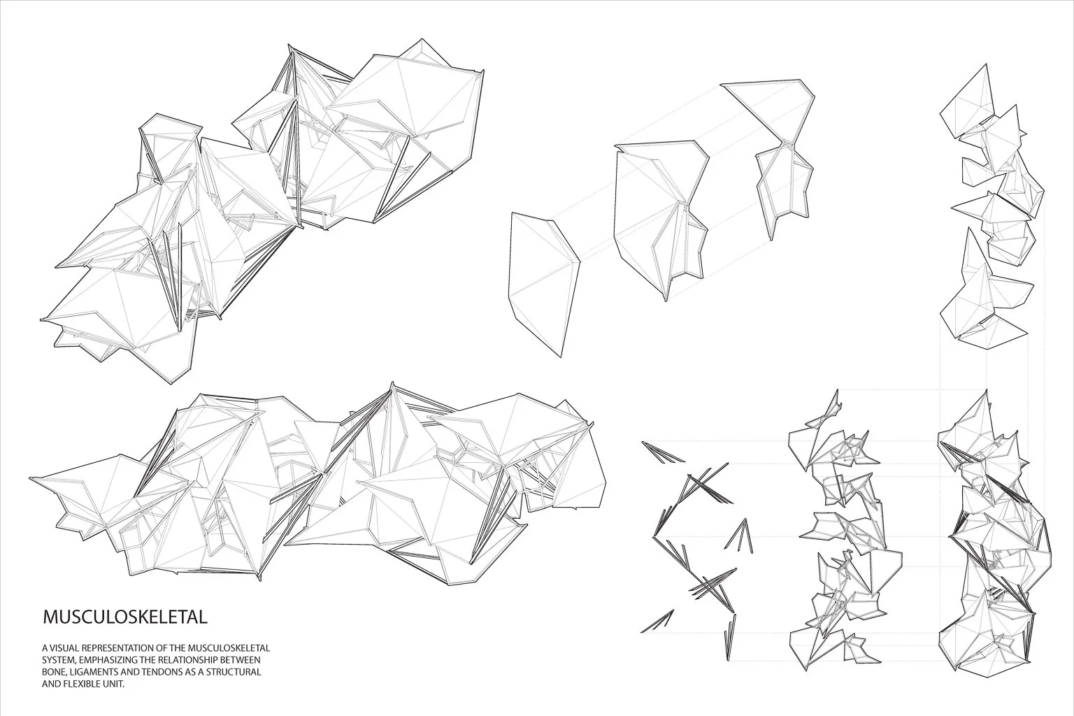 scullion_arch-03 - Grace Scullion.jpg