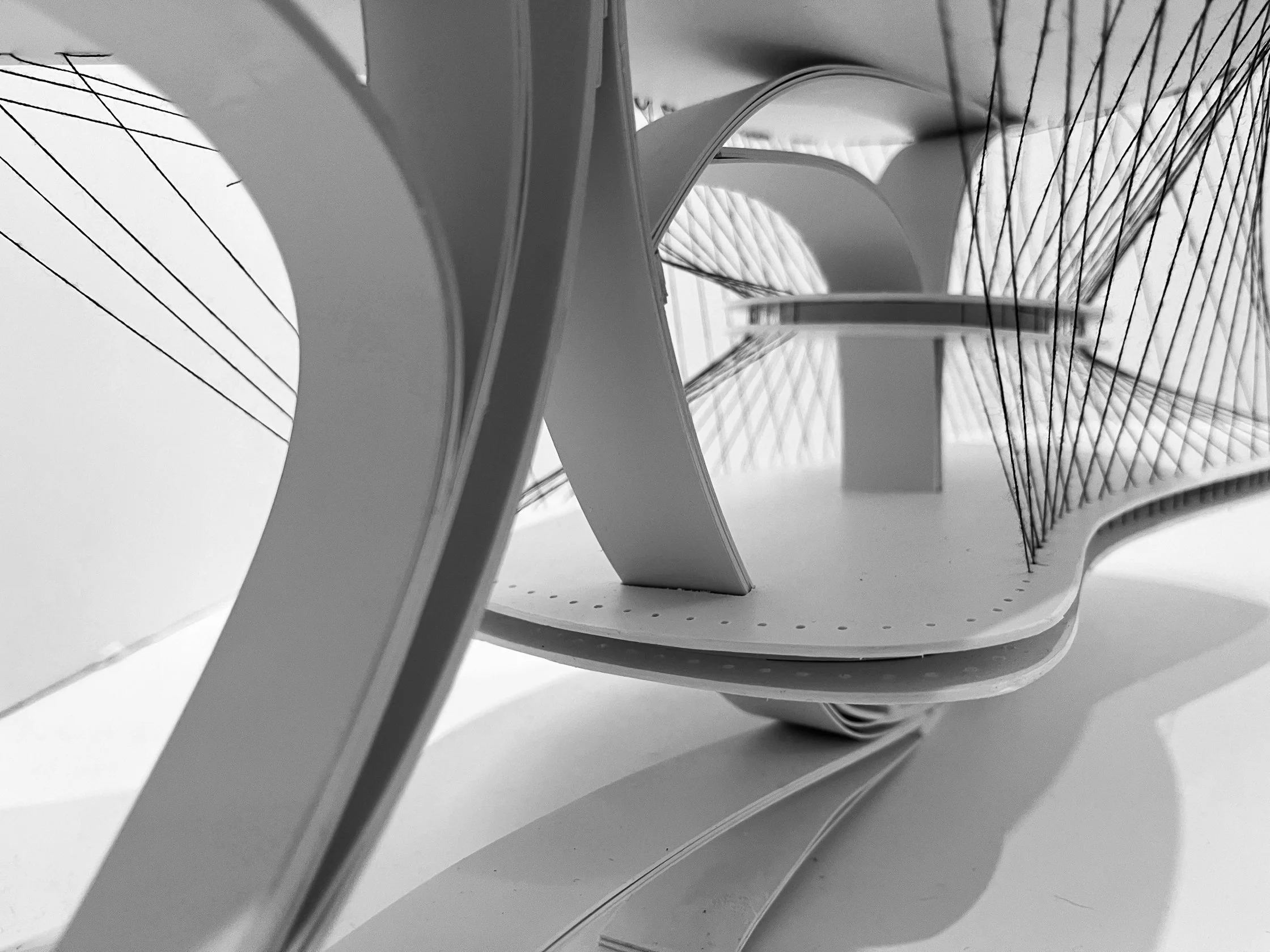 Asher_arch-03 - Asher Collens.jpg