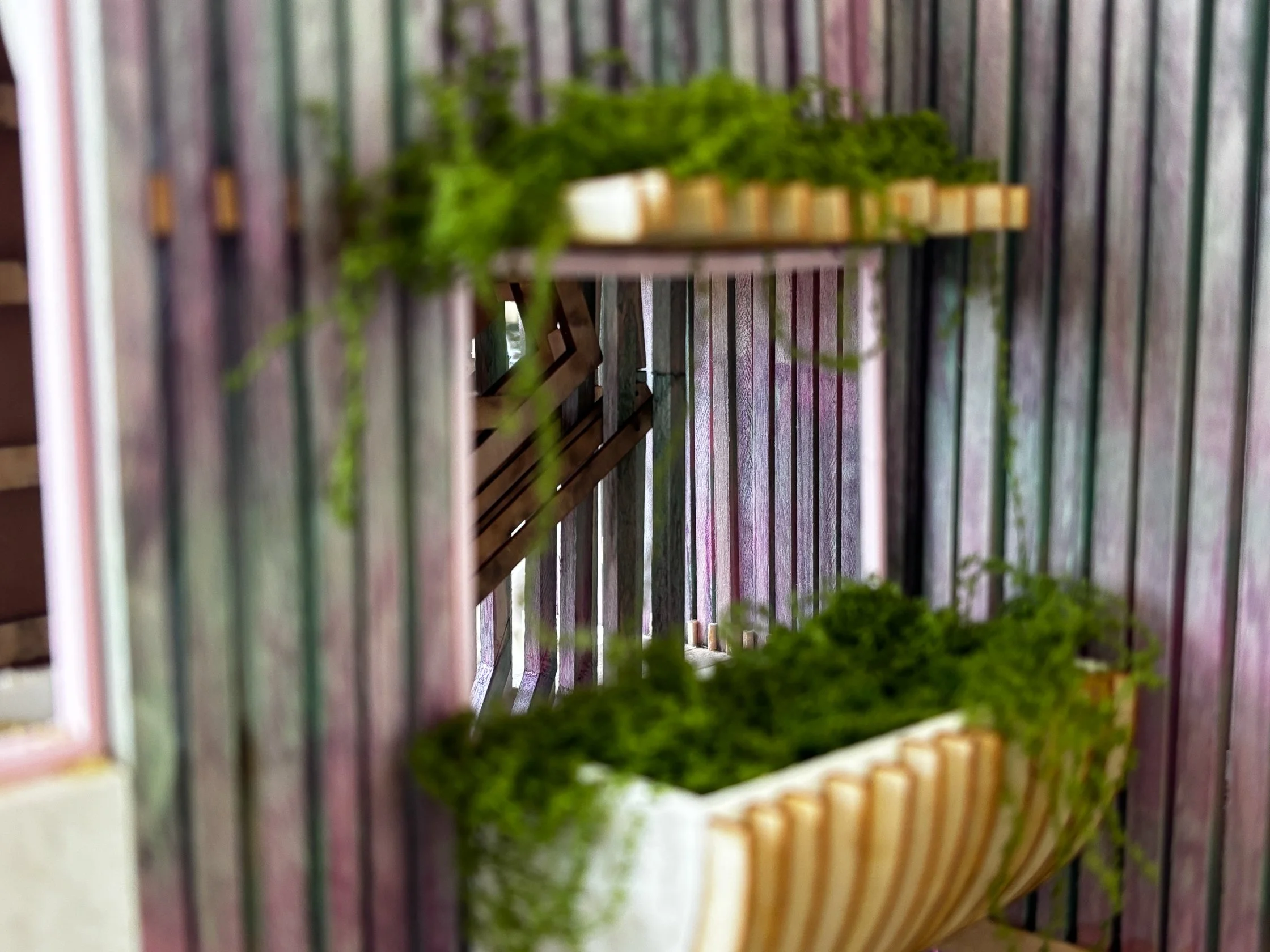 carpenter_arch-06 - Olivia Carpenter.jpg
