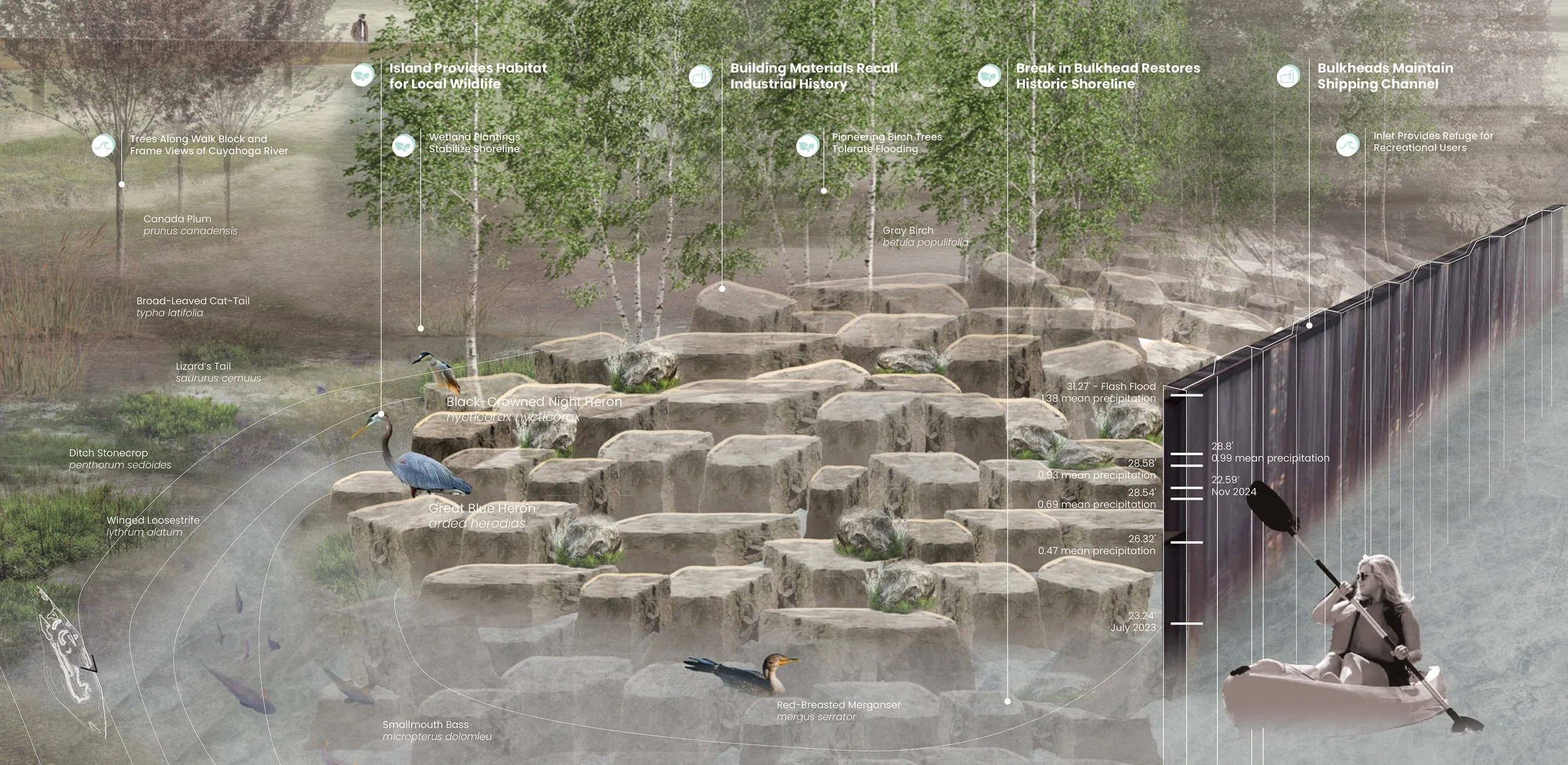 Infographic illustrating a shoreline with native trees, plants, and bird species, showing climate data like preipitation and flooding, with a person kayaking along the shoreline.