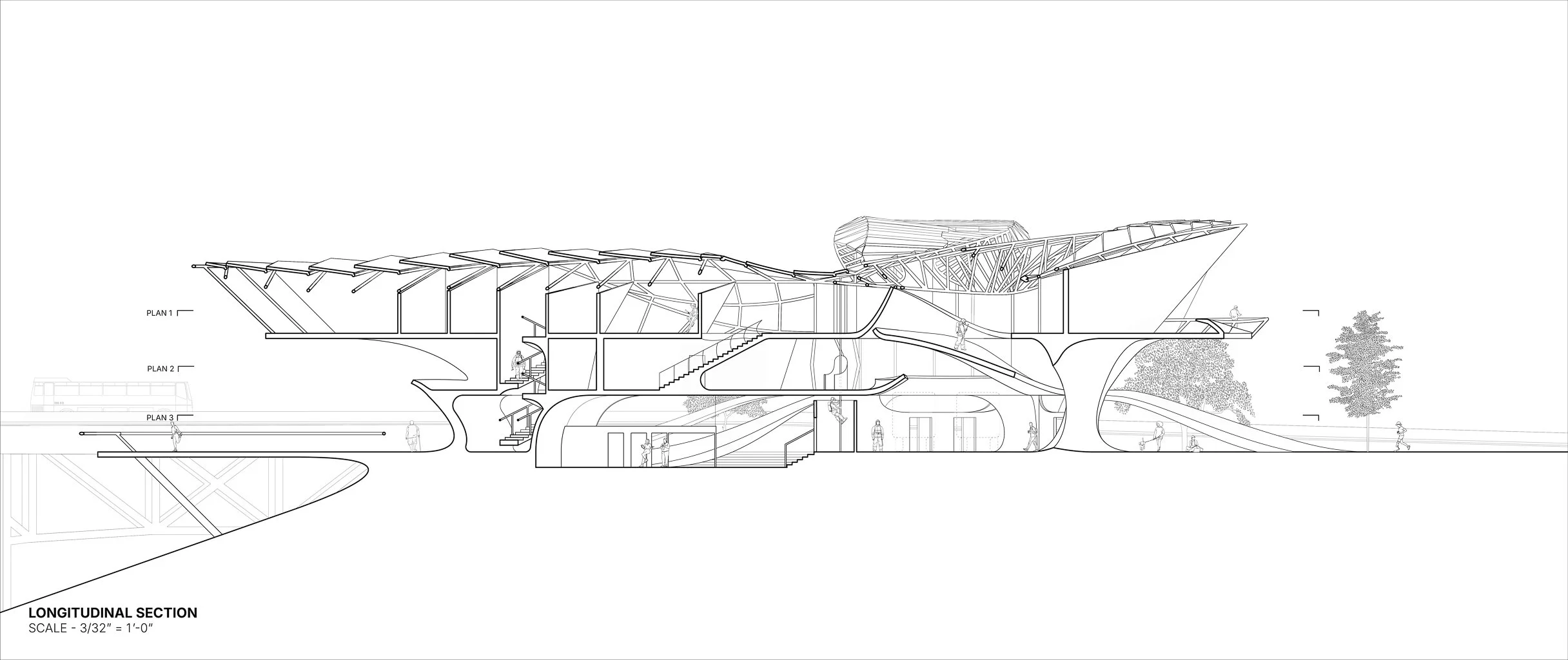 Ryan_Shaw_Longitudinal Section-01 - Ryan Shaw.jpg