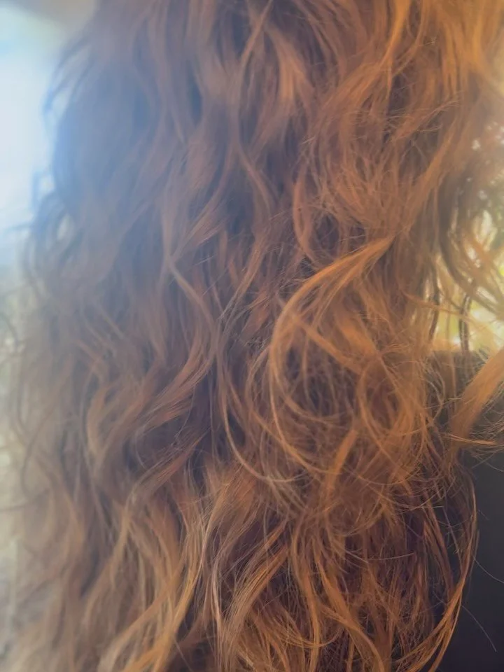 Stevie Nicks look alike? 🤎 

#haircut #razorcut #chachas #lexington #lexky #lexkyhair
