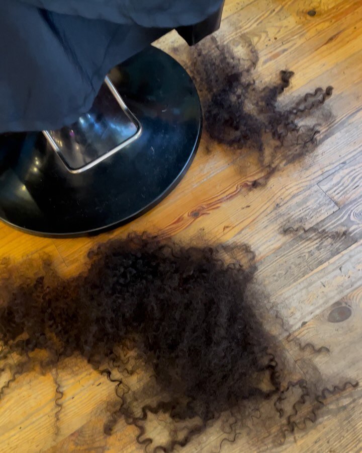 @tcurls.94 trusted me to ✨CHOP ✨ all her hair off!

The first video was the preliminary cut before her treatment and the second video was the final product! 

WE STAN A MAJOR TRANSFORMATION 🕺🏽💅

Book your Deluxe Cut before the holidays bbys 😘