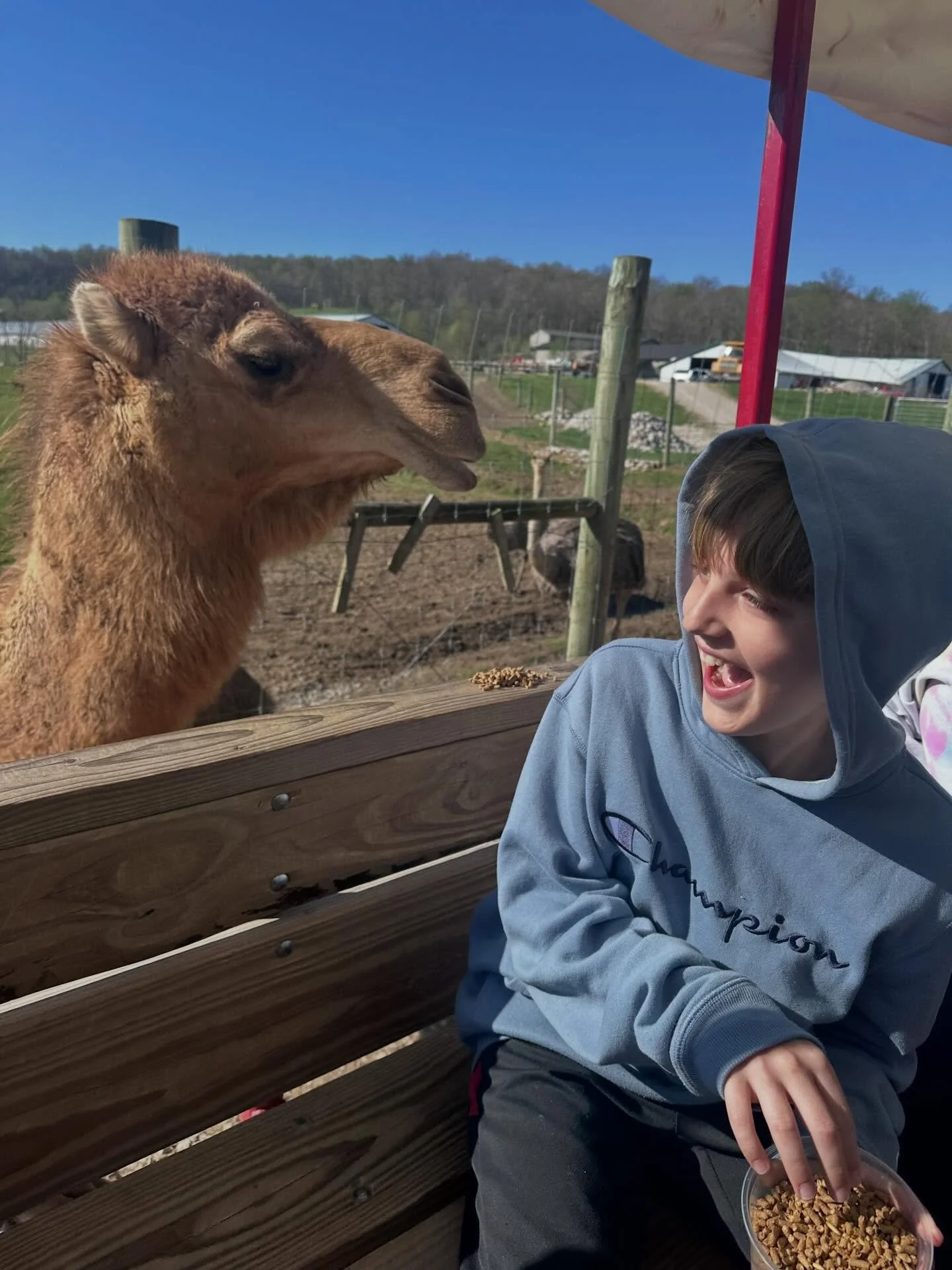Ventured to @wilstem to have a day filled with animal loving!! We had a great start to Spring Break and many laughs 😂 

Superstars to note are : 
Luna the Sloth who I just want to have as my own. 

Clyde the Camel who was absolutely relentless on ou
