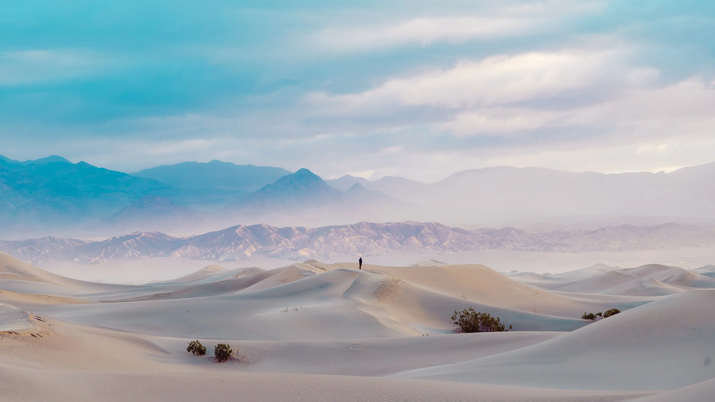Desert Wanderings