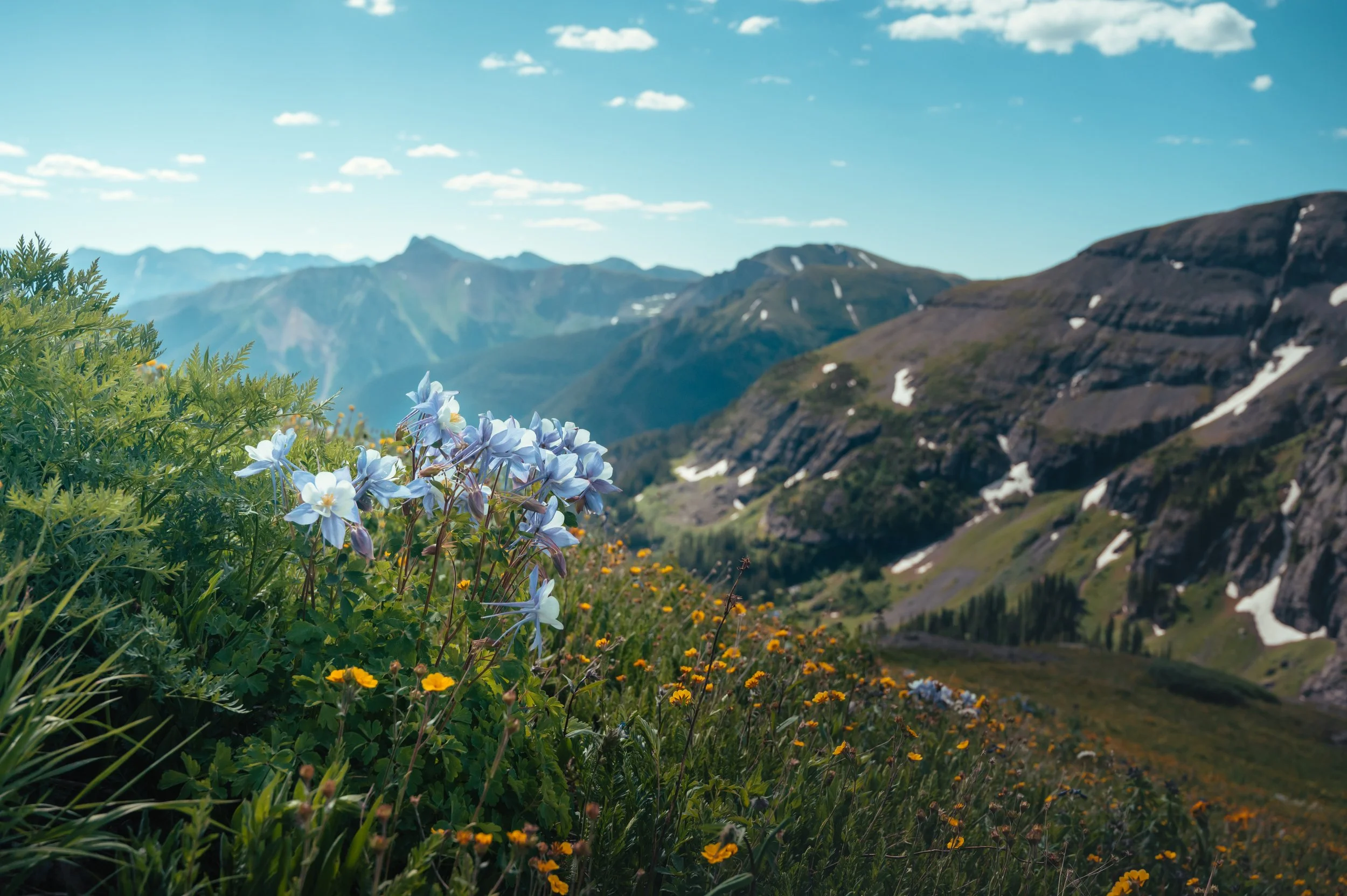 Mountainside Bouquet