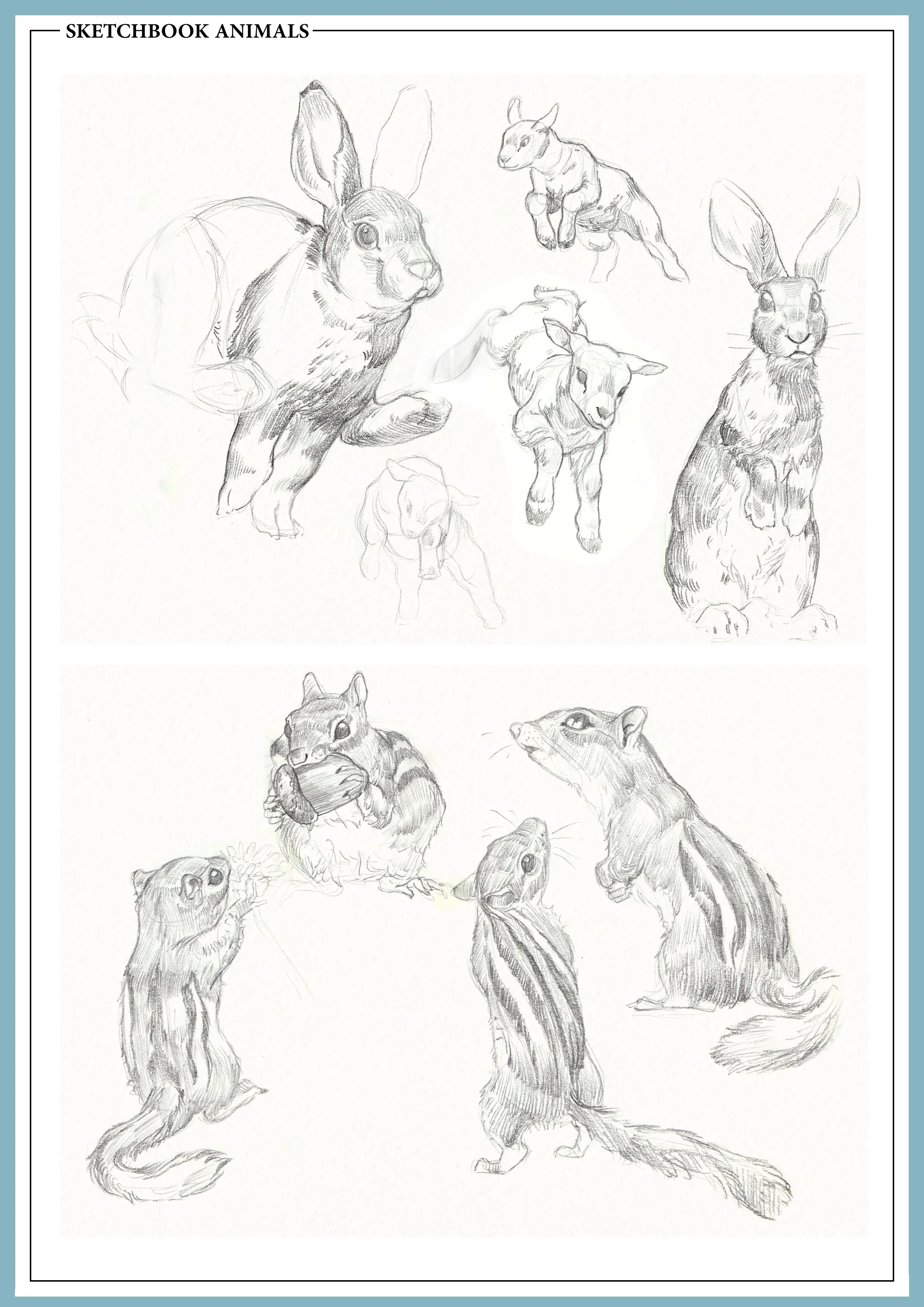 sketchbook animals 1.jpg