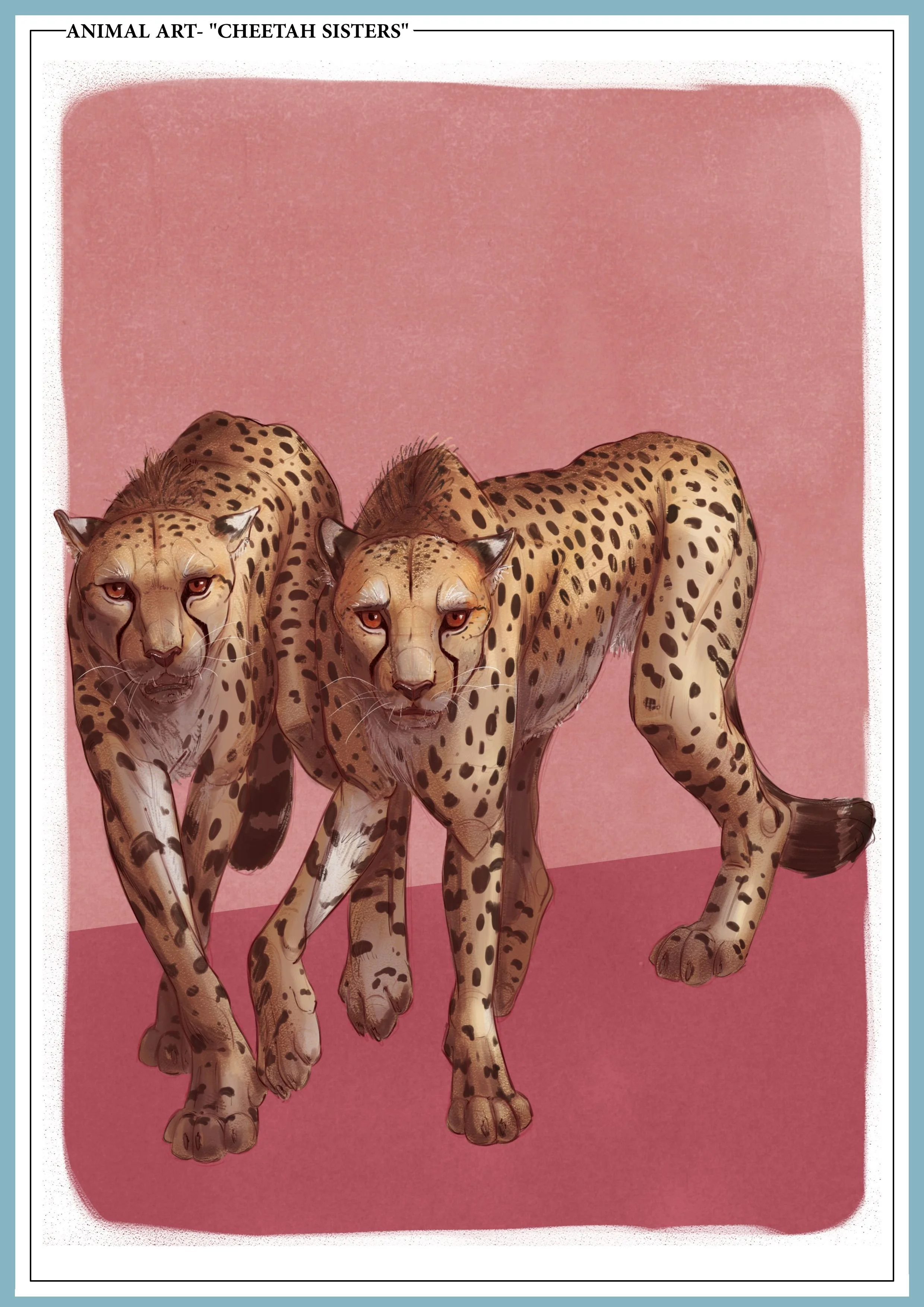 cheetahsisters.jpg