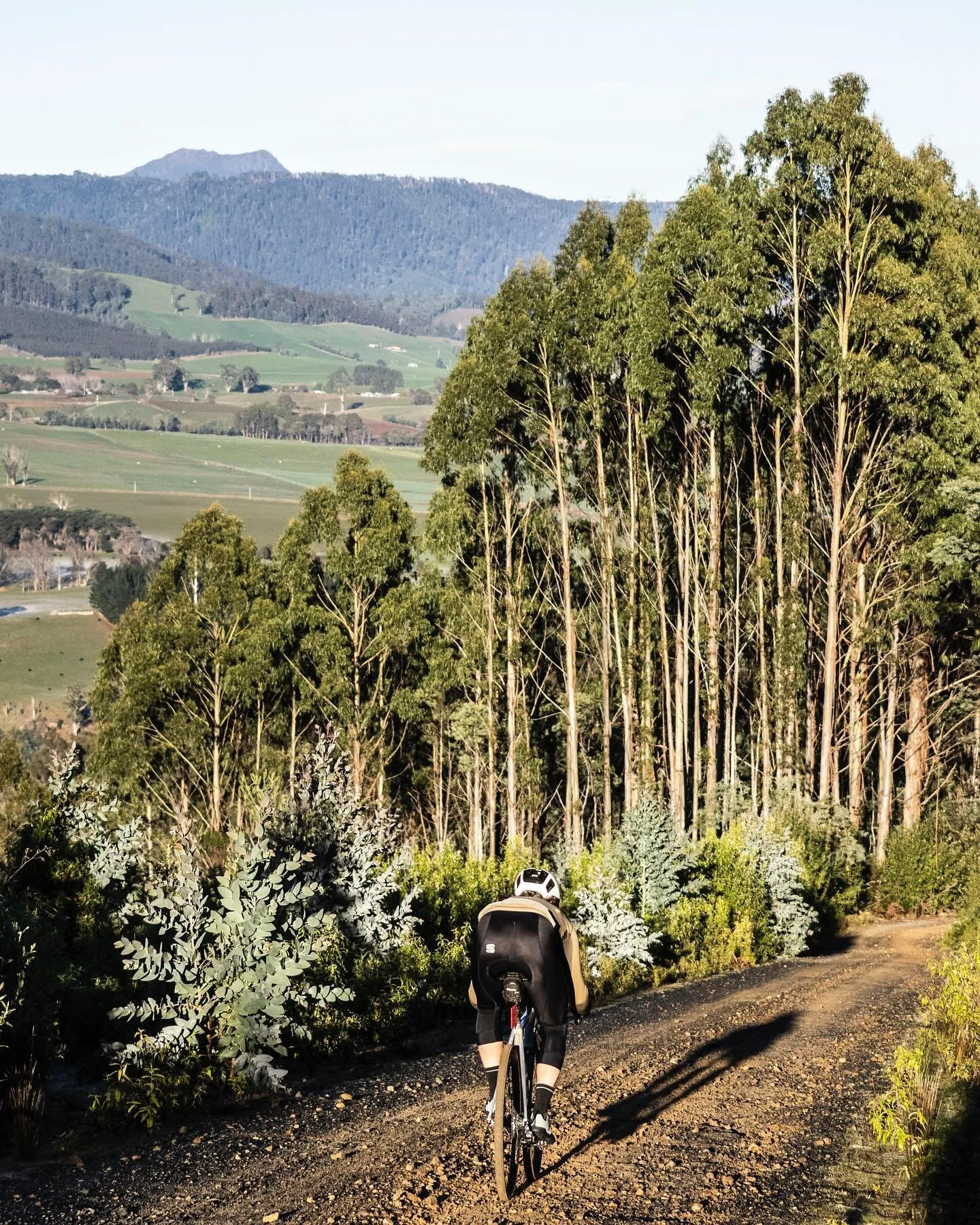@beardmcbeardy&rsquo;s photos are now live online!

Check out the link in our bio or on our website to view his photographic genius!

-
#thedevilscardigan 
@tasmania @visitnortherntasmania @auscyclingaus @auscyclingtas  #tasmania #tassiegravel #theof