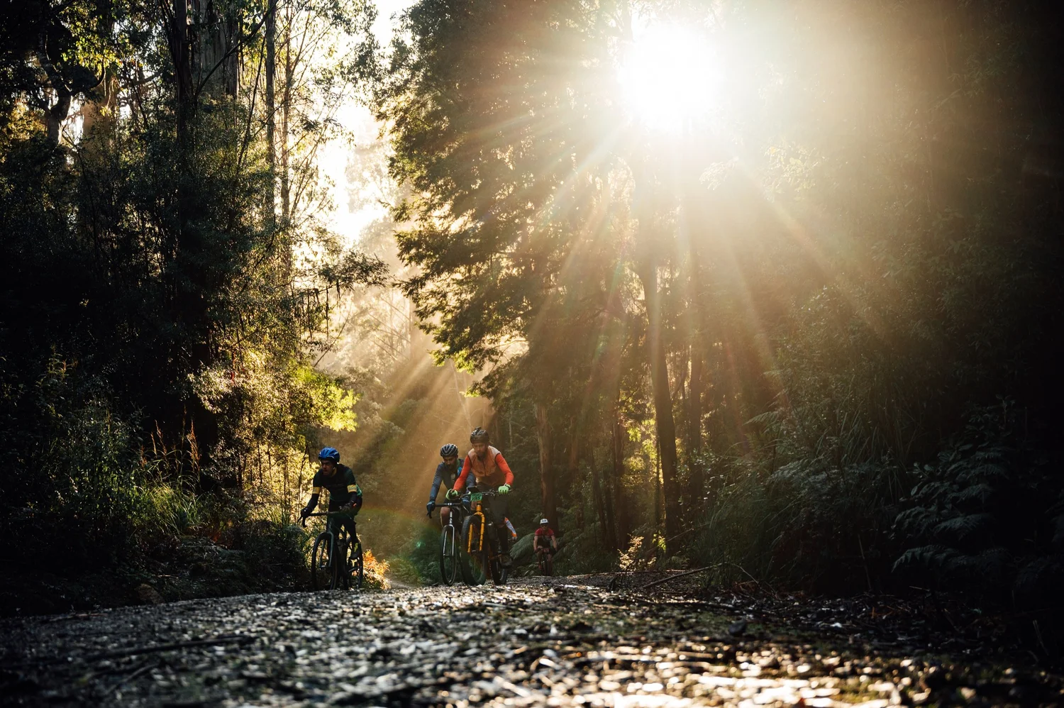 General 1 — The Devils Cardigan