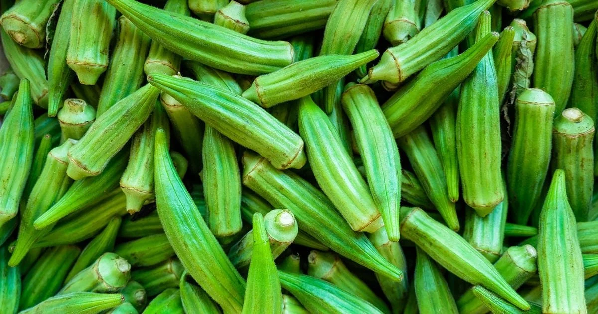 what-is-okra-s.jpg
