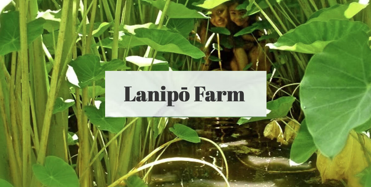 Nourish Kauai Partner Lanipo Farm .jpg
