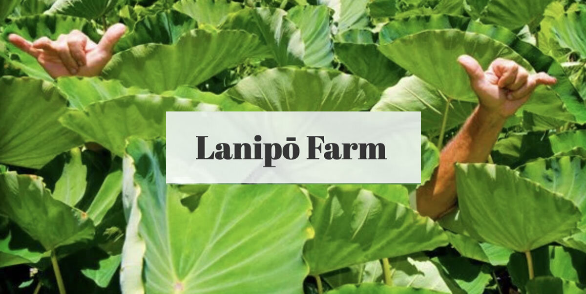 Nourish Kauai Partner Lanipo Farm 1.jpg