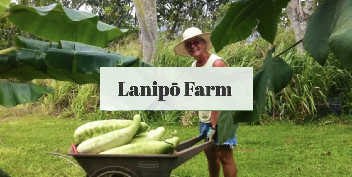 Nourish Kauai Partner Lanipo Farm 2.jpg