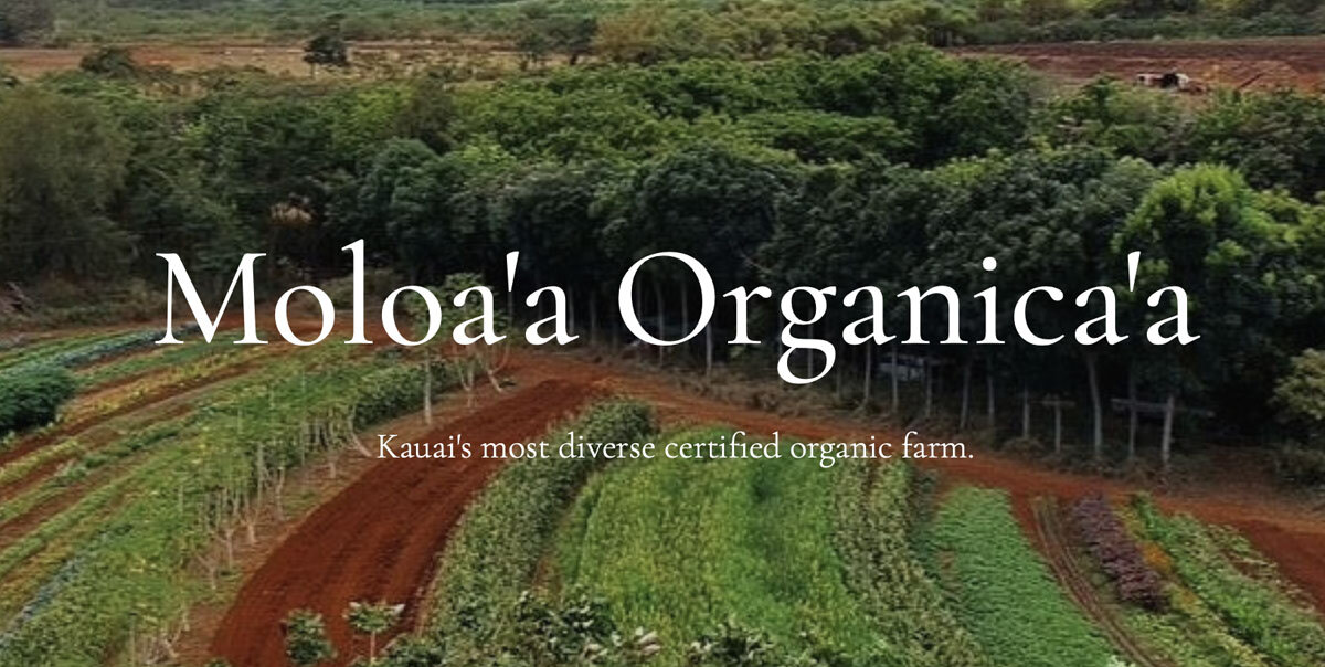 Nourish Kauai Partner Moloa'a Organica'a 1.jpg