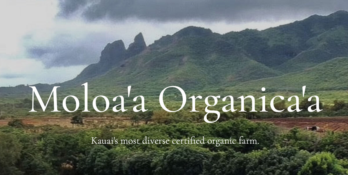 Nourish Kauai Partner Moloa'a Organica'a.jpg