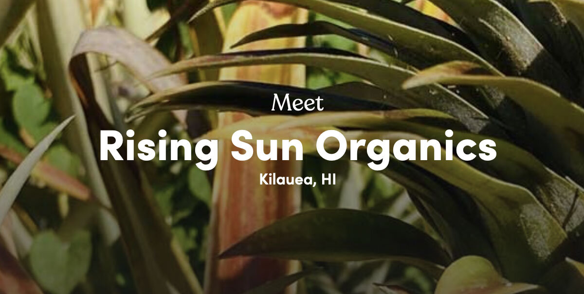 Nourish Kauai Partner Rising Sun Organics.jpg