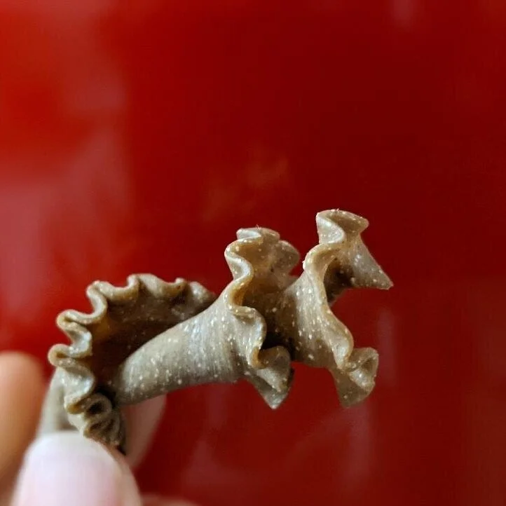 BBB602C0-2E66-410F-89CA-A0113BC20A27