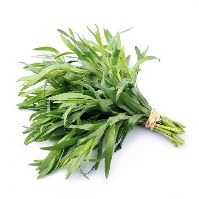Fresh Tarragon