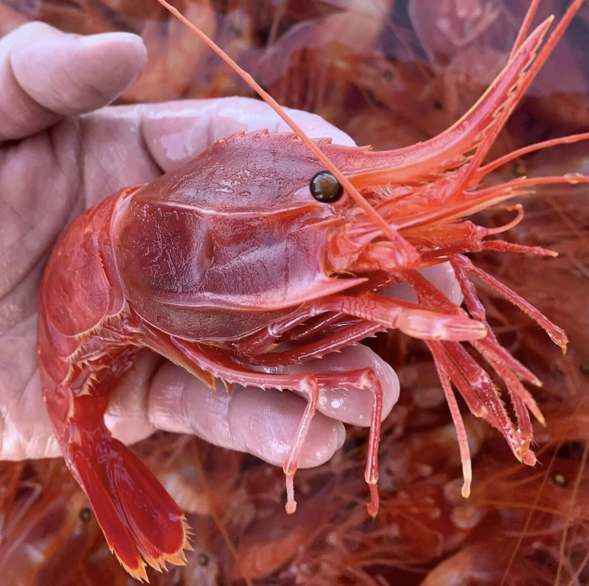 659EDE5C-AA56-404A-8824-1B6E5E65CFD3