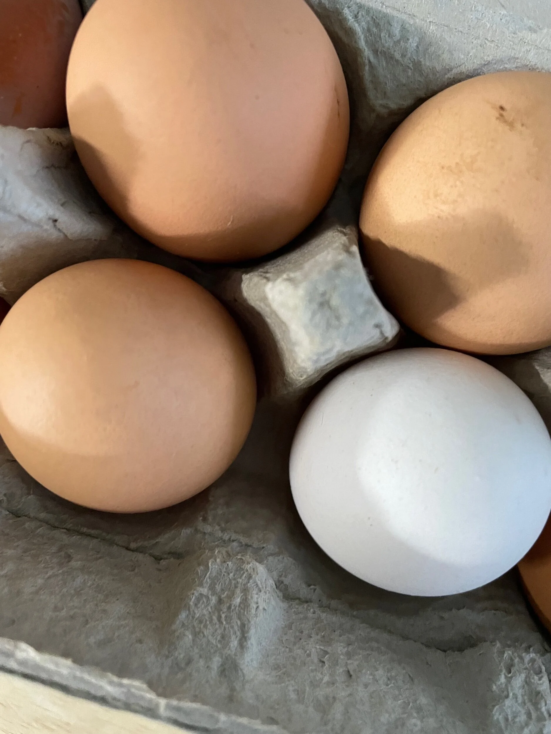 2B0DE0E7-277A-4CF2-A0CF-49D179365087