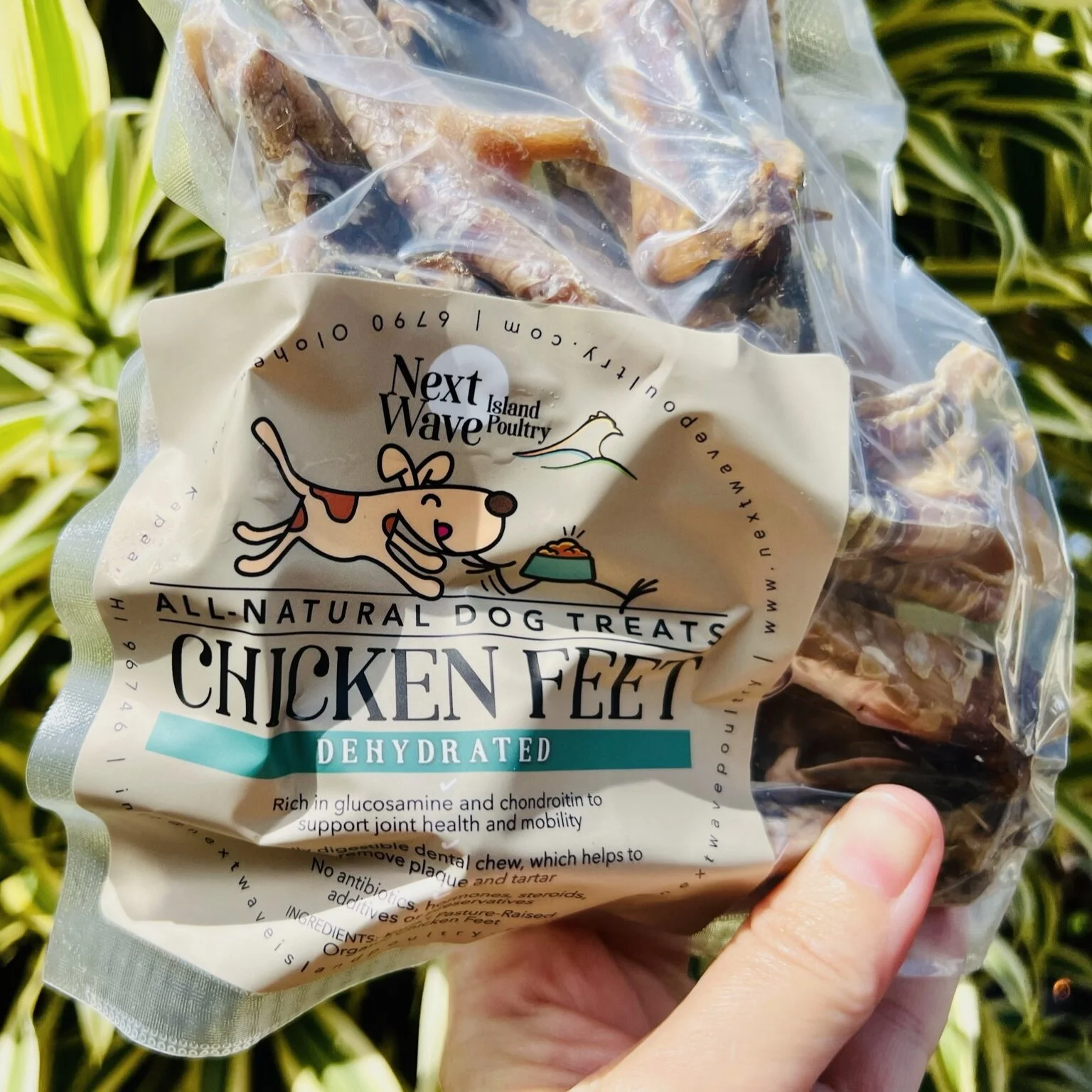 48AF21EE-0F5C-4DE5-9DDA-4D7D3BAC1F6B