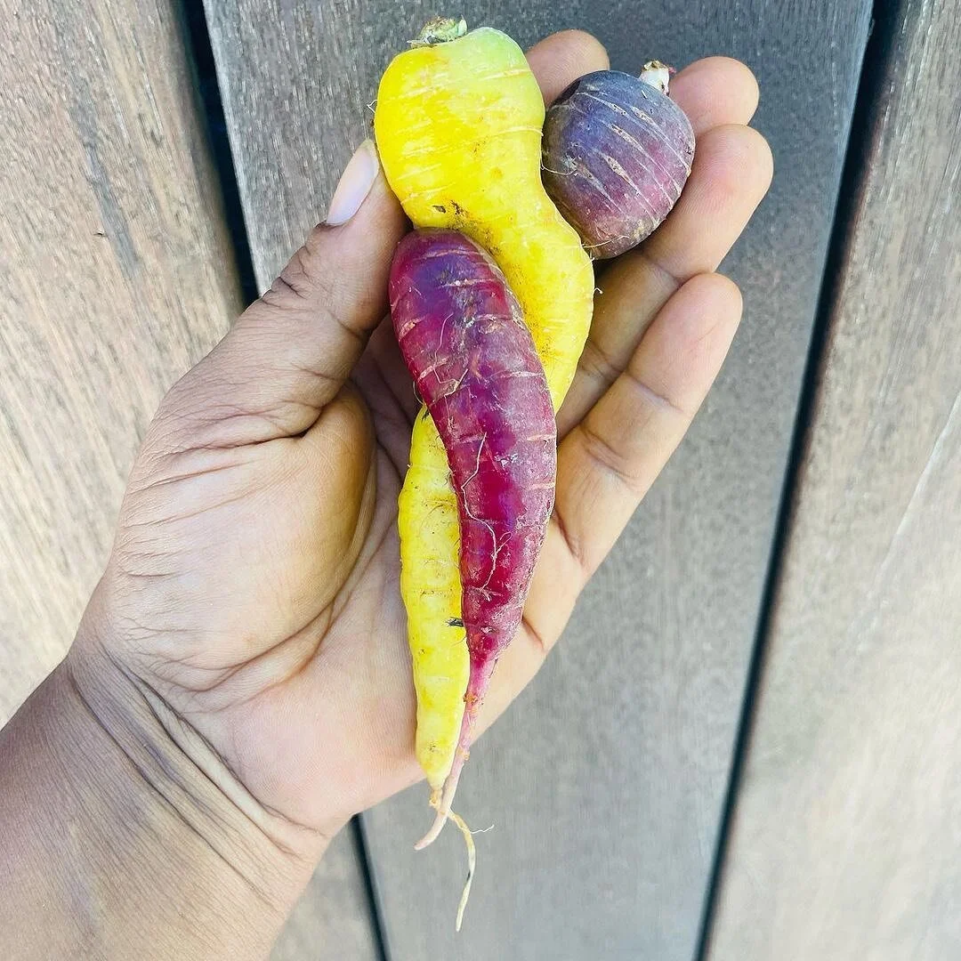 So thankful for the opportunity to give back to our Maui community with these awesome people! ❤️ #MauiStrong

Reposted from @slowislandco 

So proud of my staff, our culinary community, @lesdameshawaii , @nourish_kauai , @vanillerykauai and @wailuagr