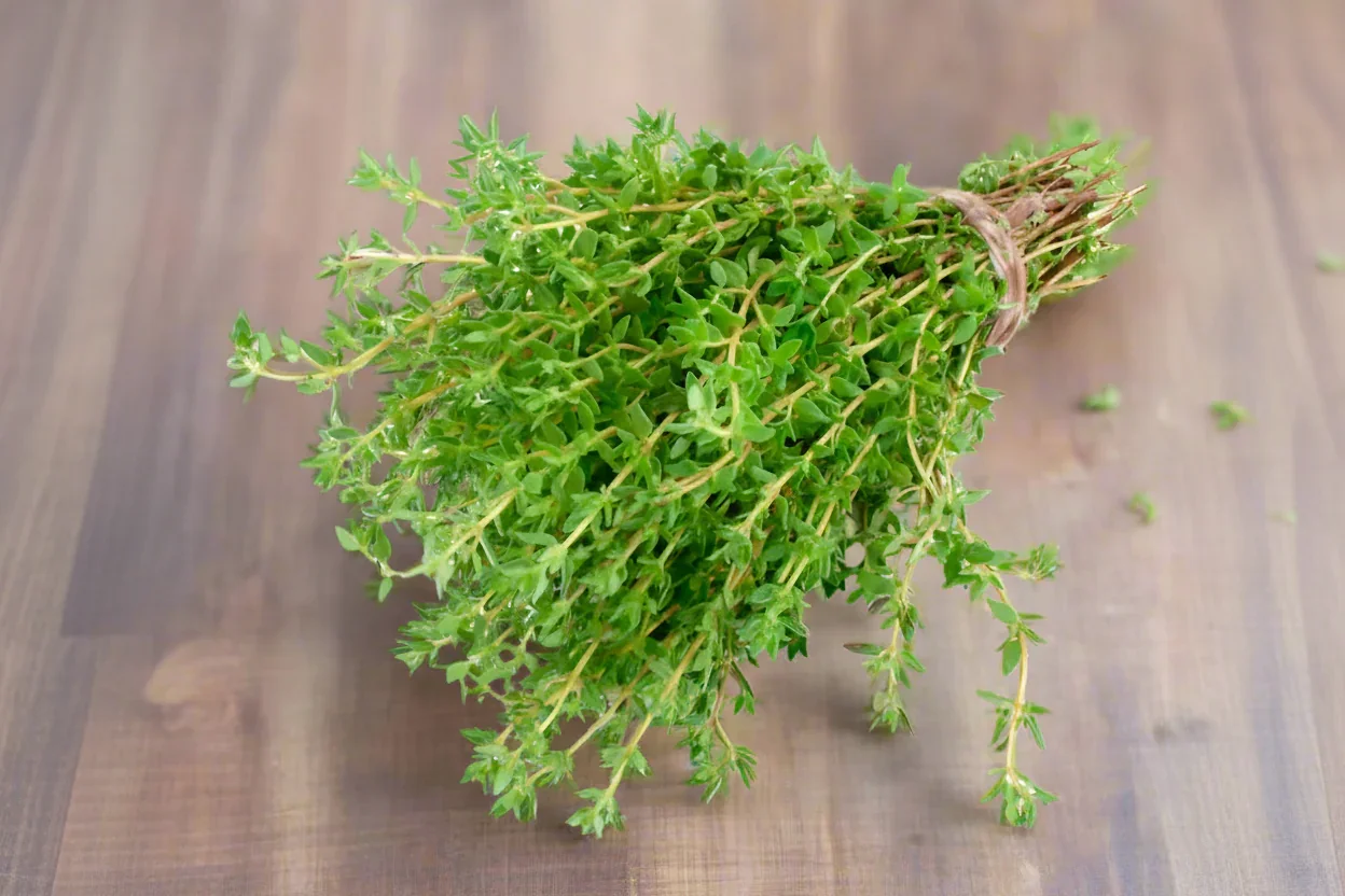 FRESHTHYME.webp