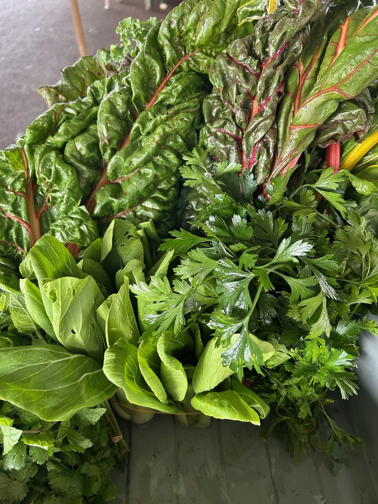 CSA Bag - Single Order