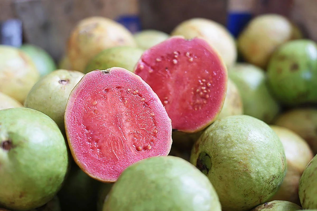 Guava