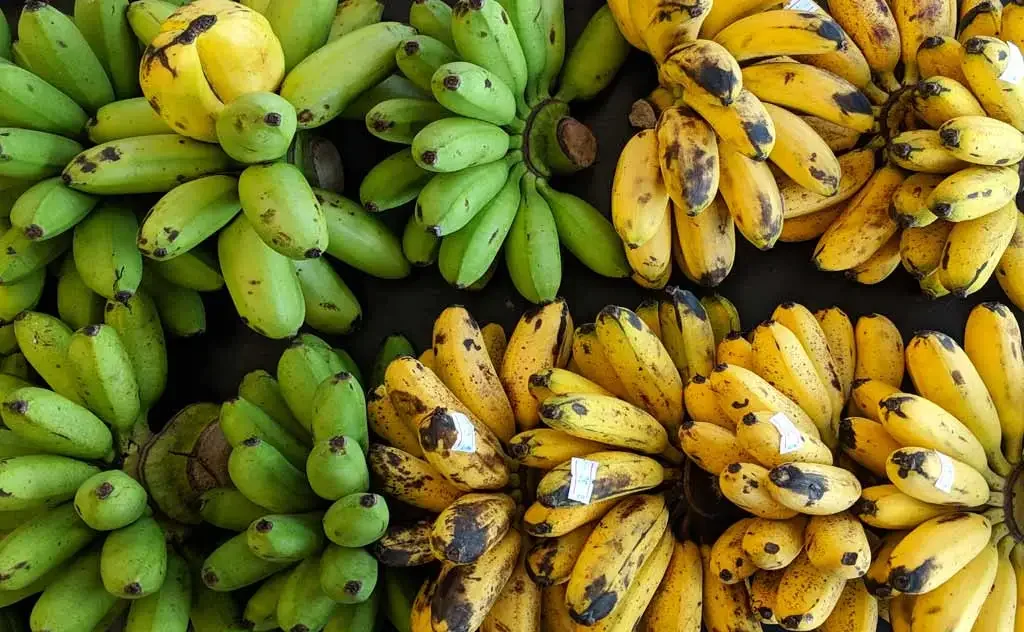 Thai-Banana.jpg.webp