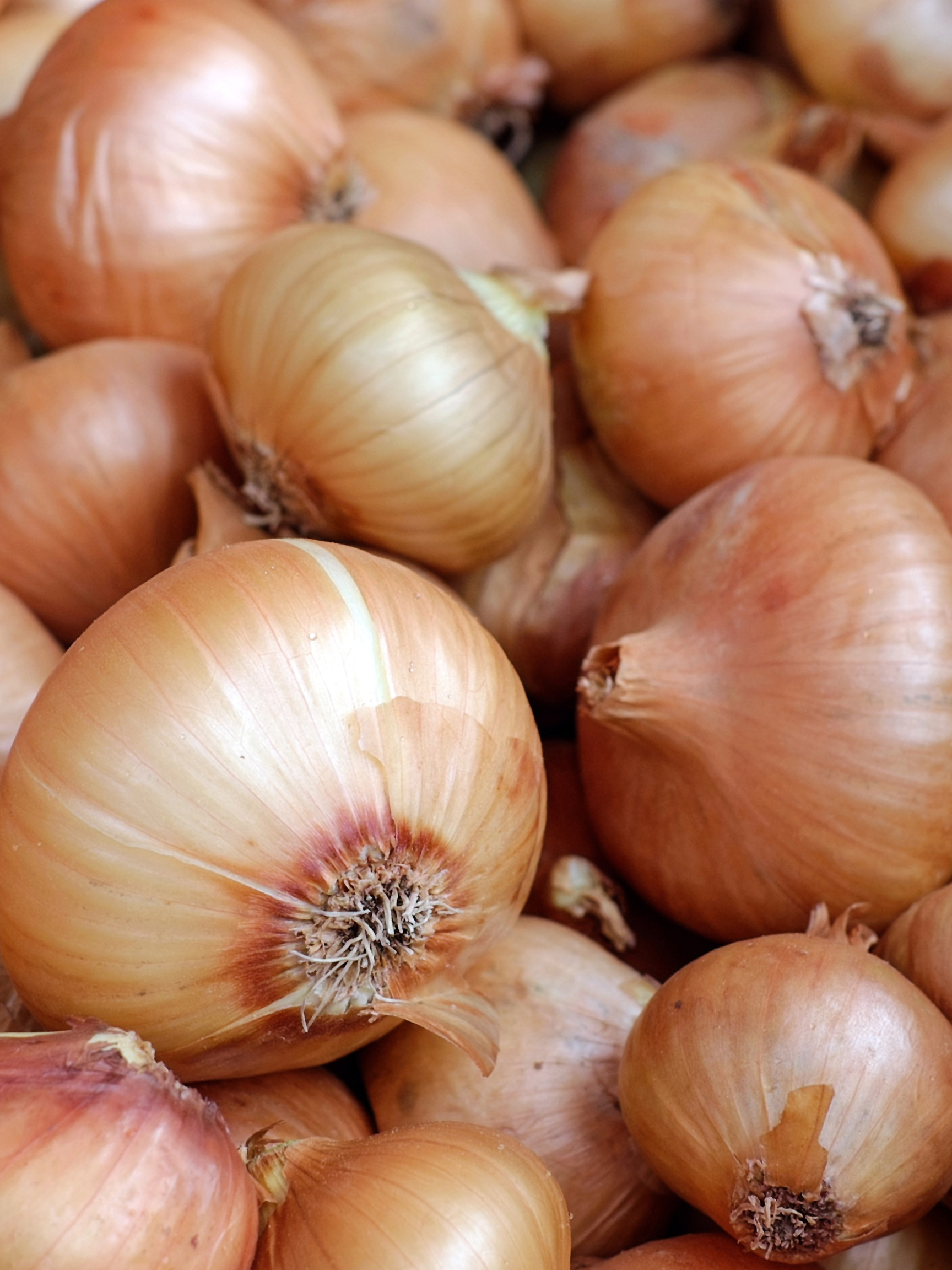 Onions