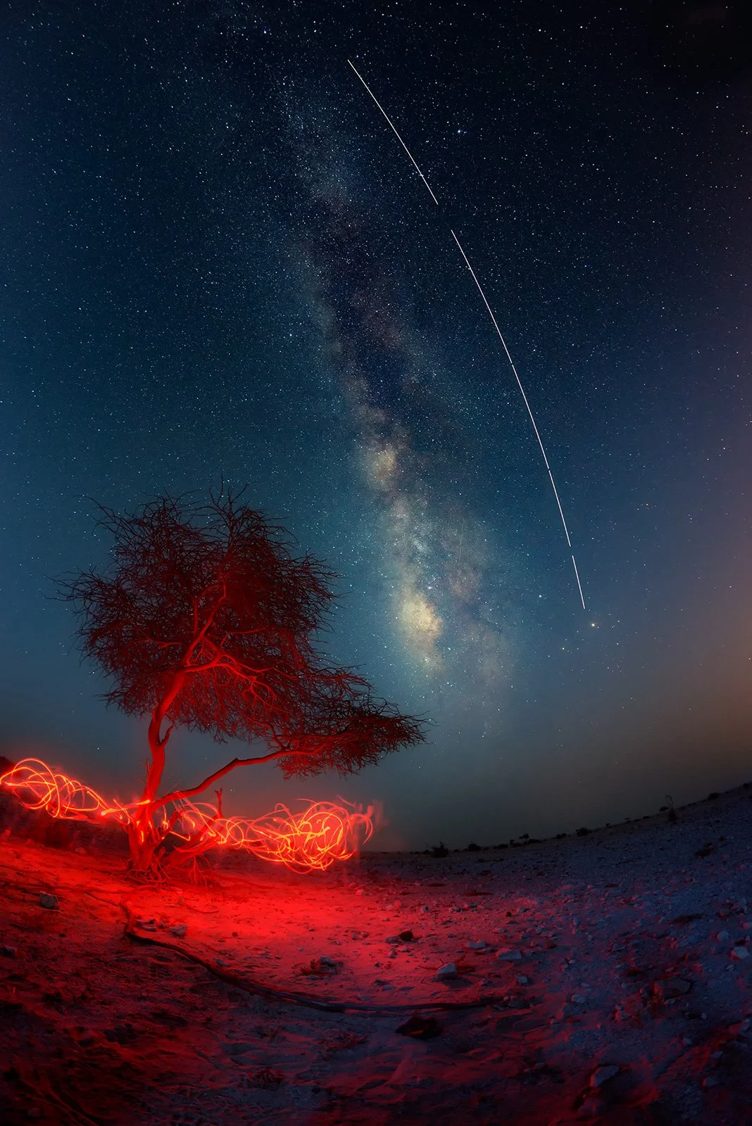 Wide-field astrophotography featuring an illuminated Acacia tree with red light painting under the Milky Way by Hammad Iqbal