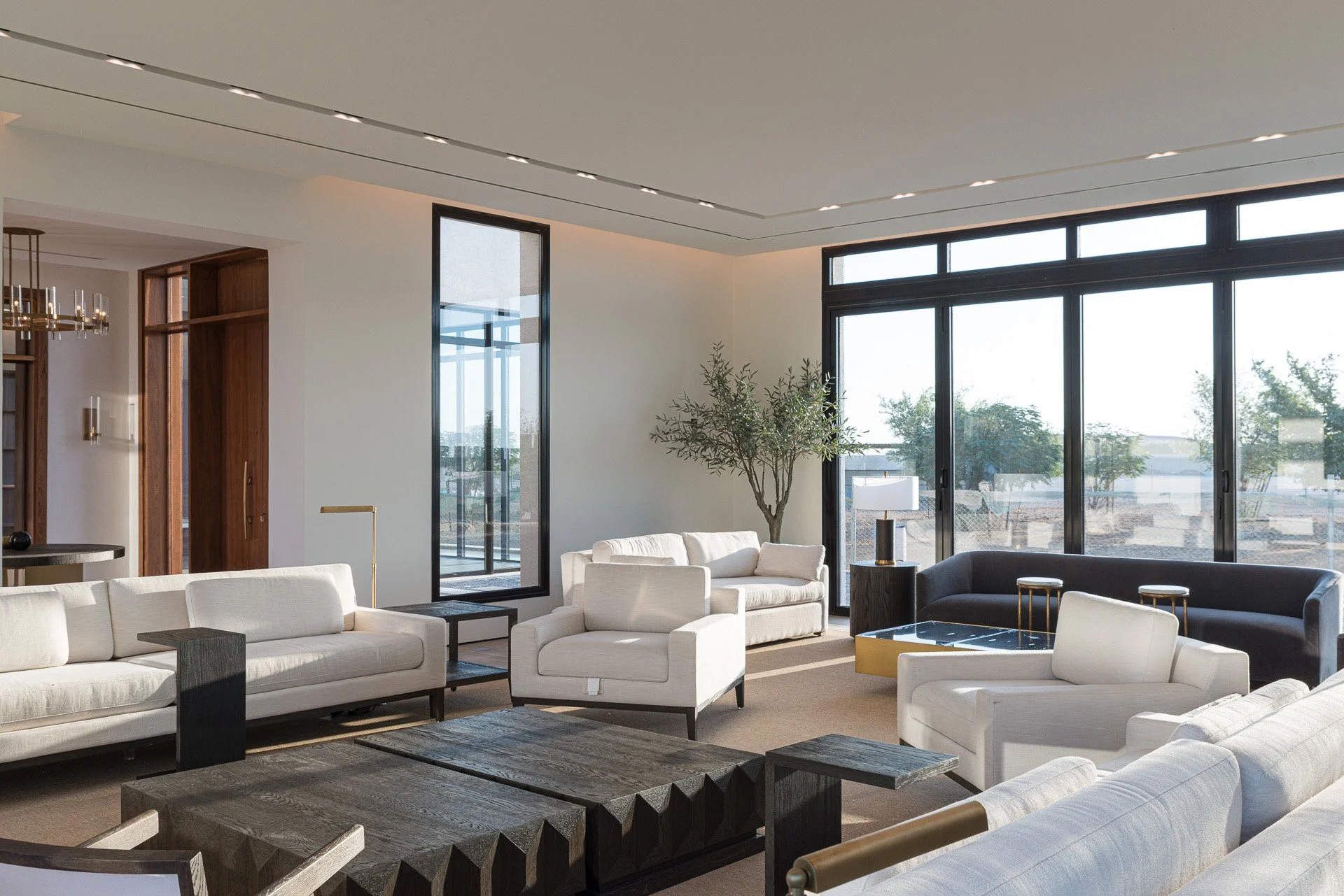 Bright modern salon lounge with floor to ceiling windows white sofas and indoor olive tree in a private Qatar estate photographed by Hammad Iqbal