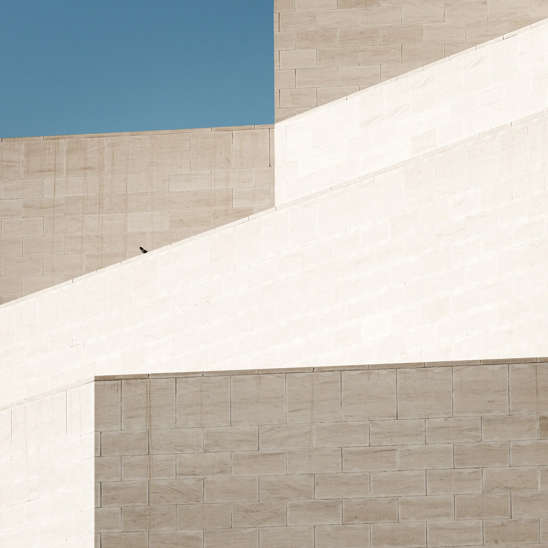 Color abstract shot of geometric limestone walls at the Museum of Islamic Art in Doha featuring a bird on a diagonal ledge by Hammad Iqbal