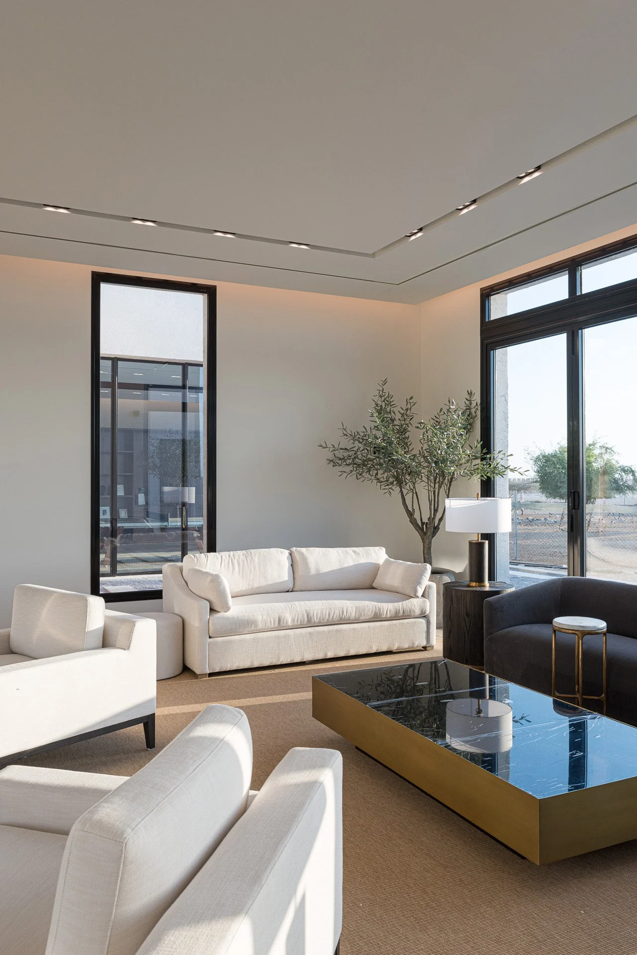 Vertical photo of high-ceiling modern pavilion living room with abundant natural light and marble coffee table by Hammad Iqbal
