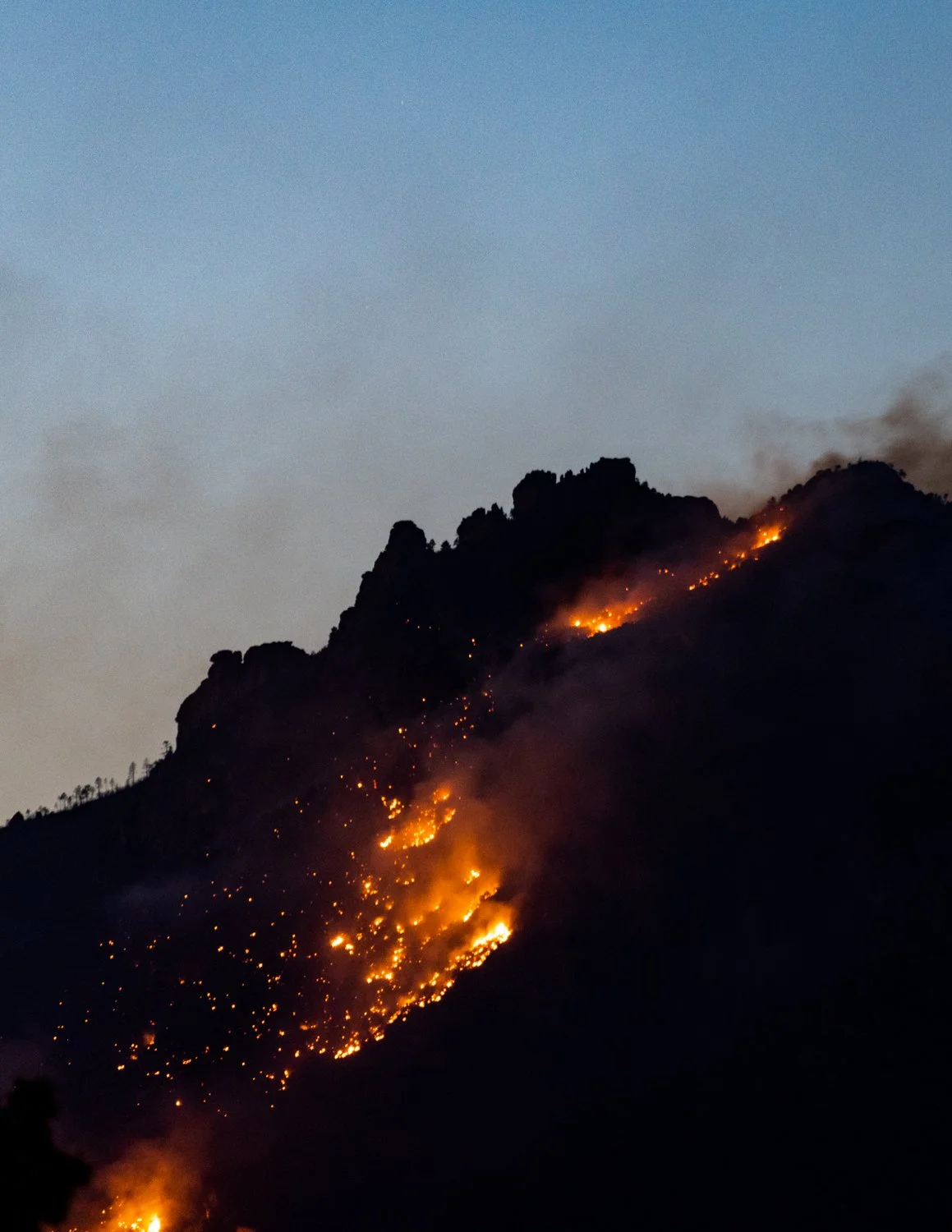 The Sonoran Desert is Burning
