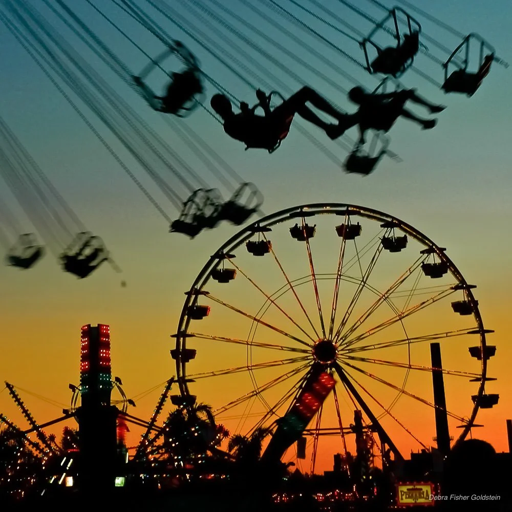 ALL Is Fair - Debra Fisher Goldstein