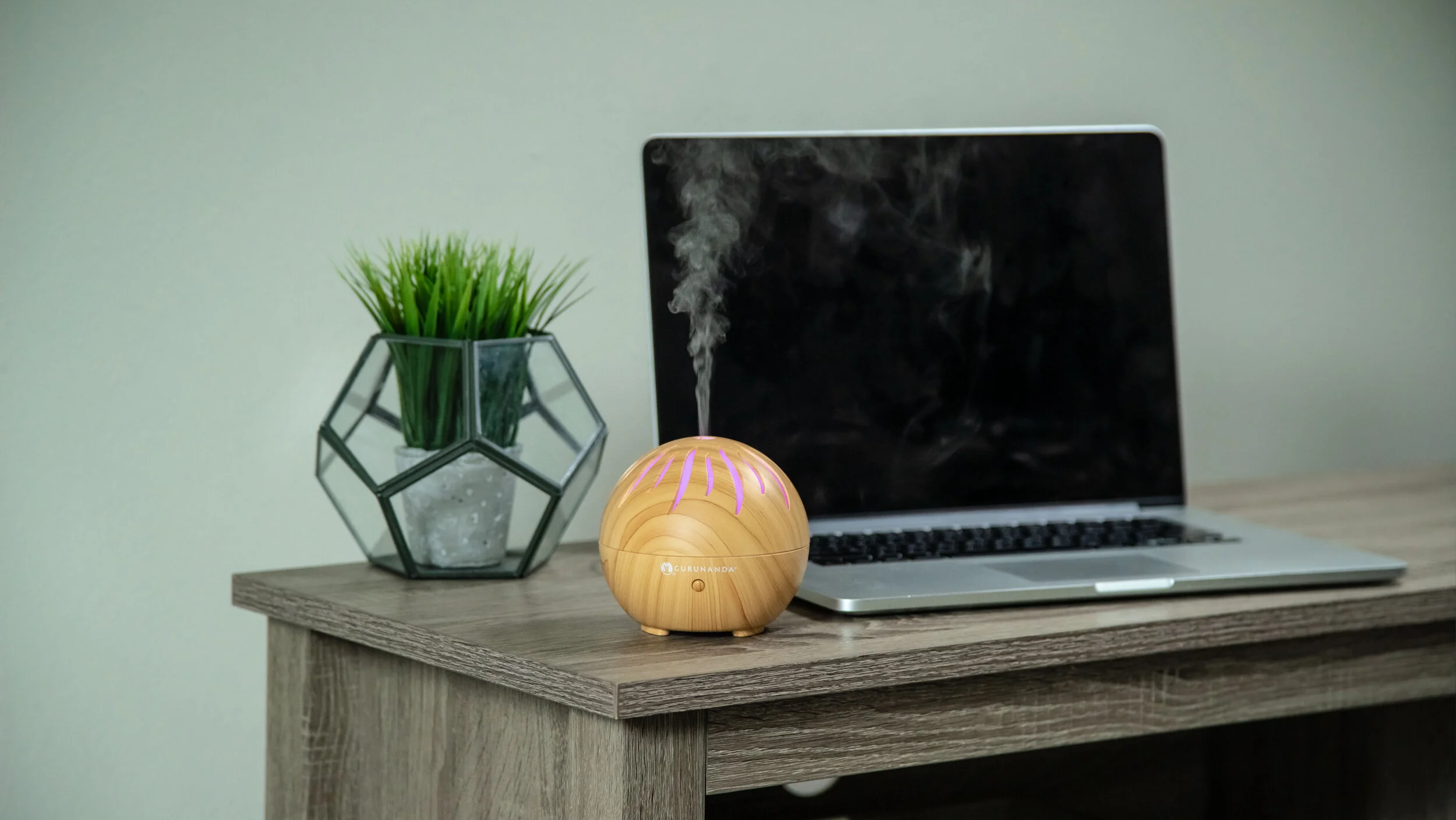 Lifestyle Photography Diffuser With Gurunanda