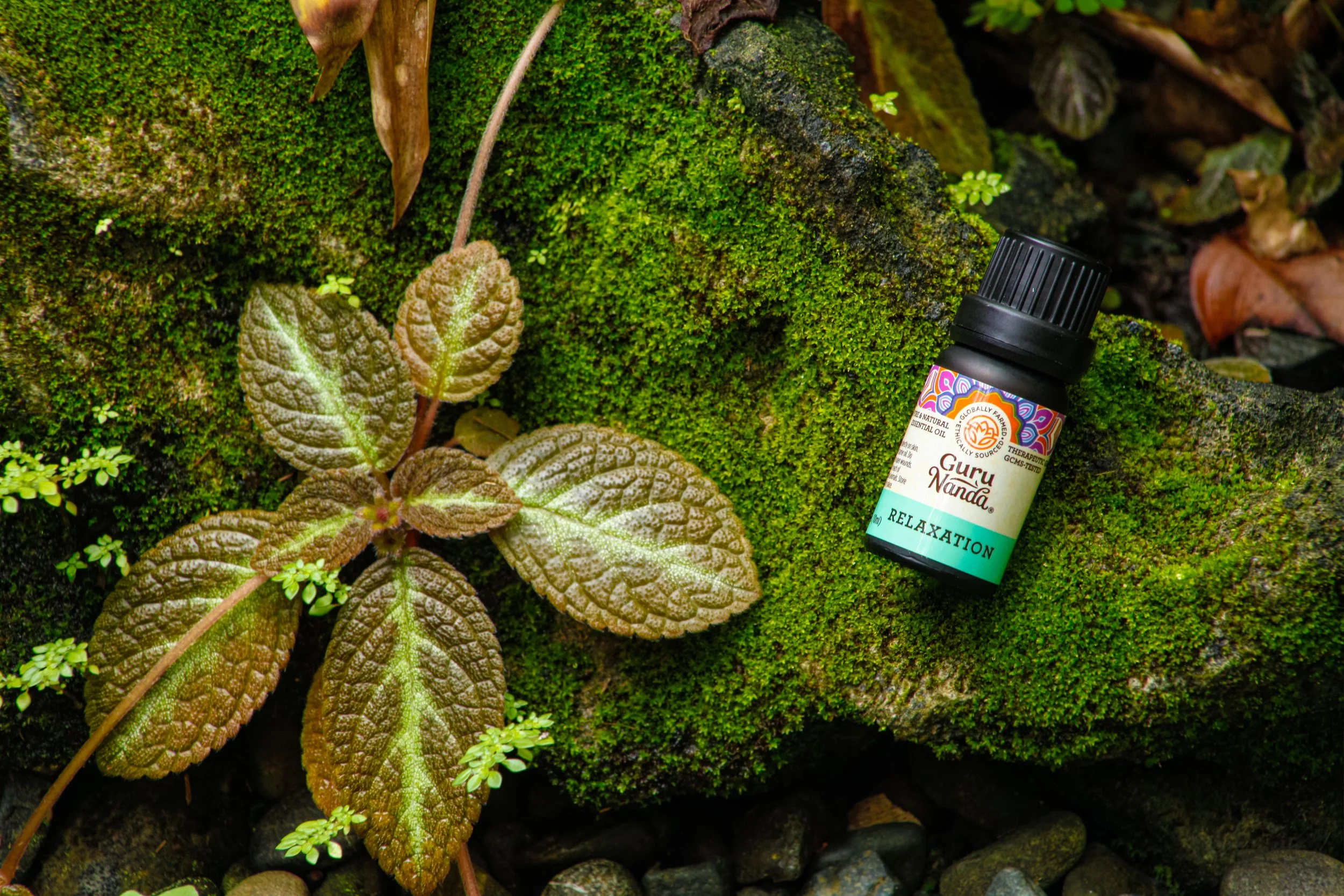 Essentials Oils Brand
