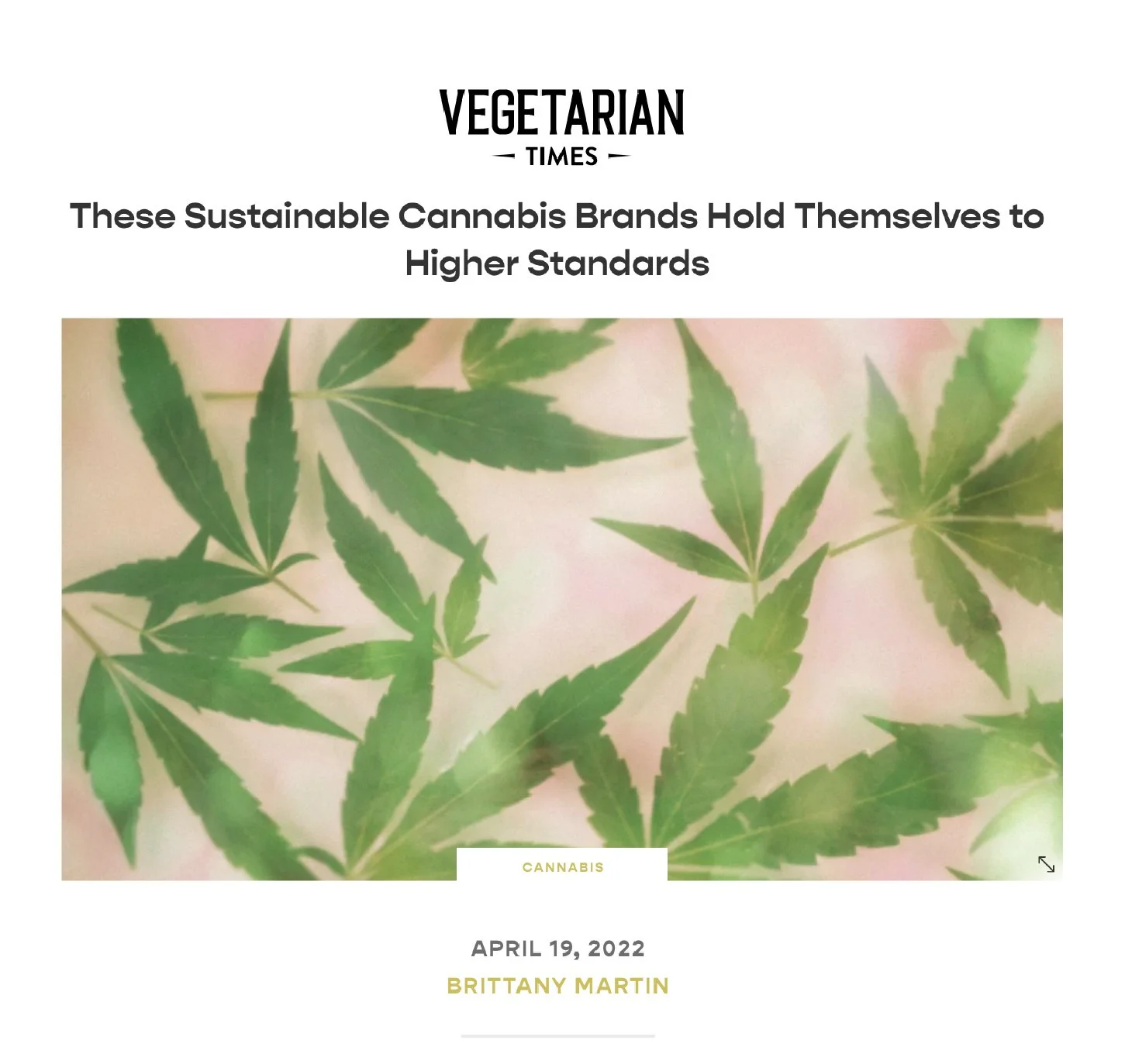 VEGETARIAN TIMES | APRIL 19, 2022