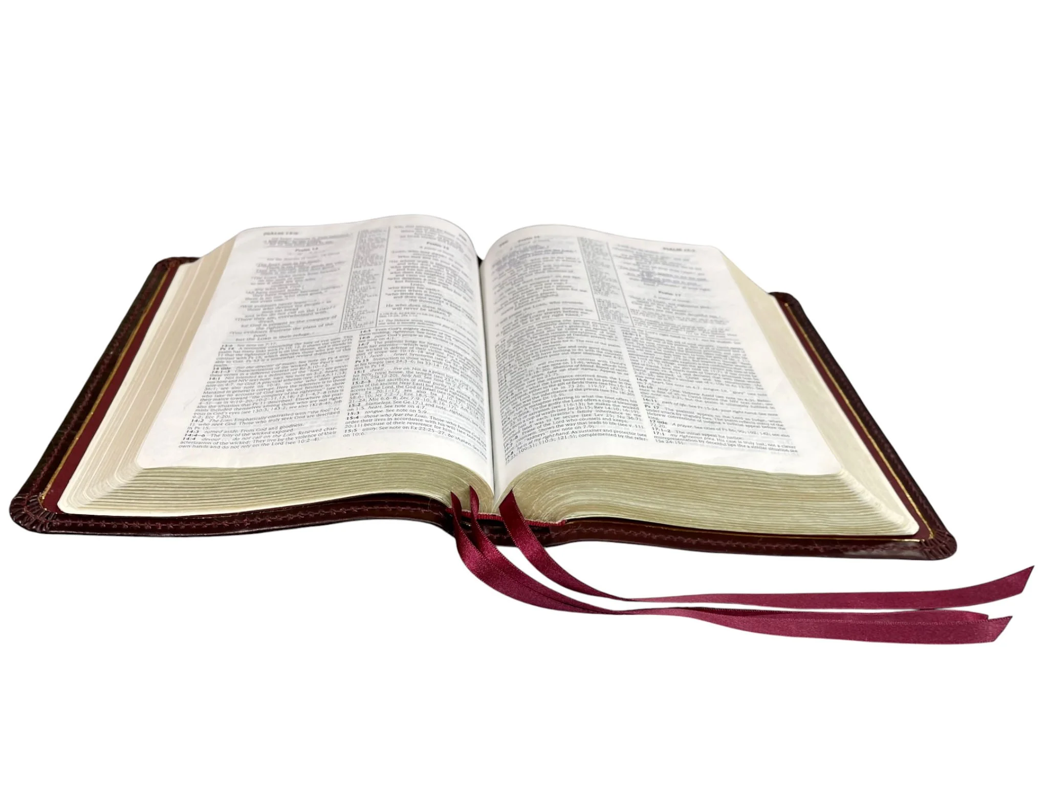 Oxblood Double Shot 10088.jpg