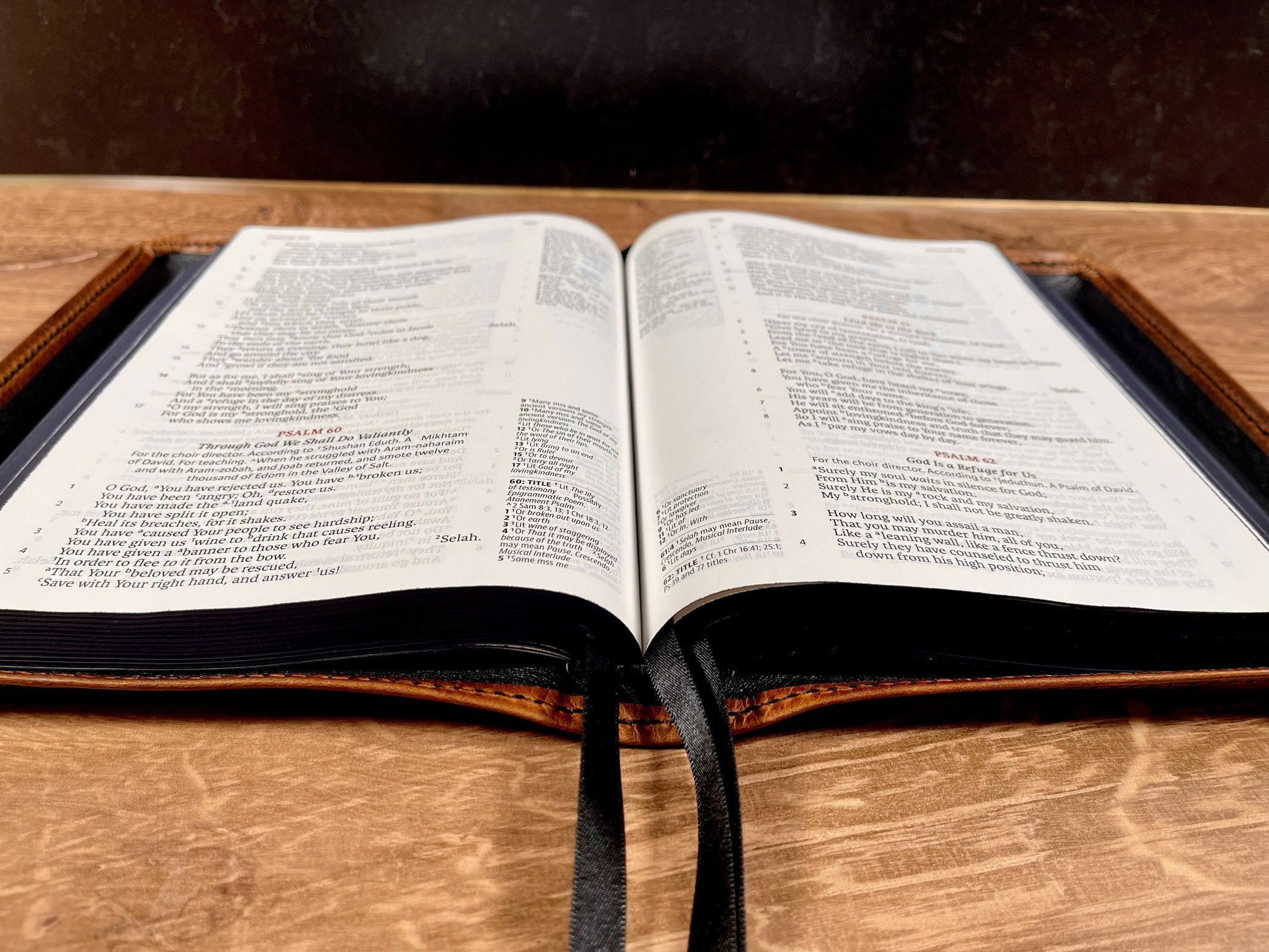 Cognac Waxy3.9.267.jpg