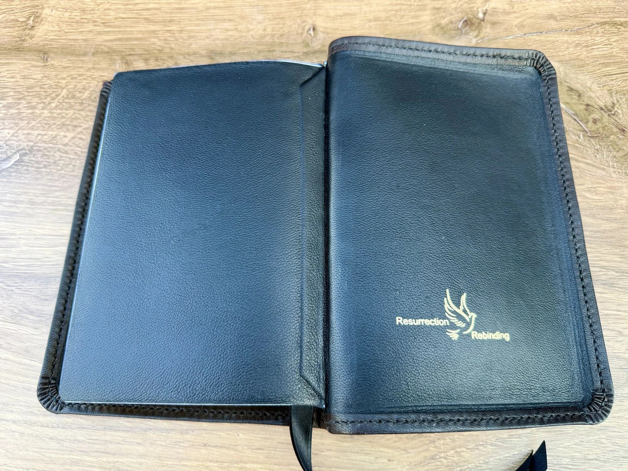 MochaSokoto08202611.jpg