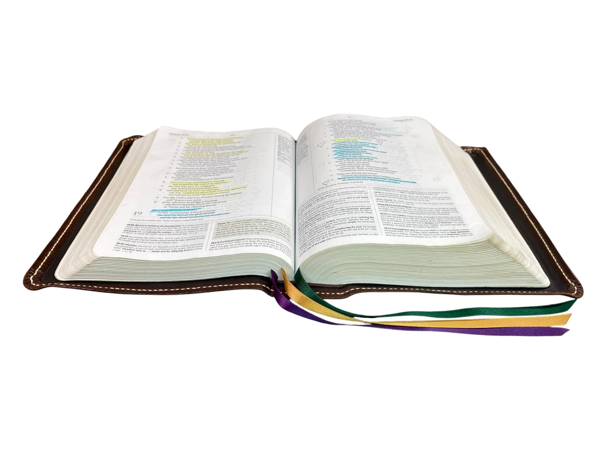 Walnut Loch Ness 8169.jpg