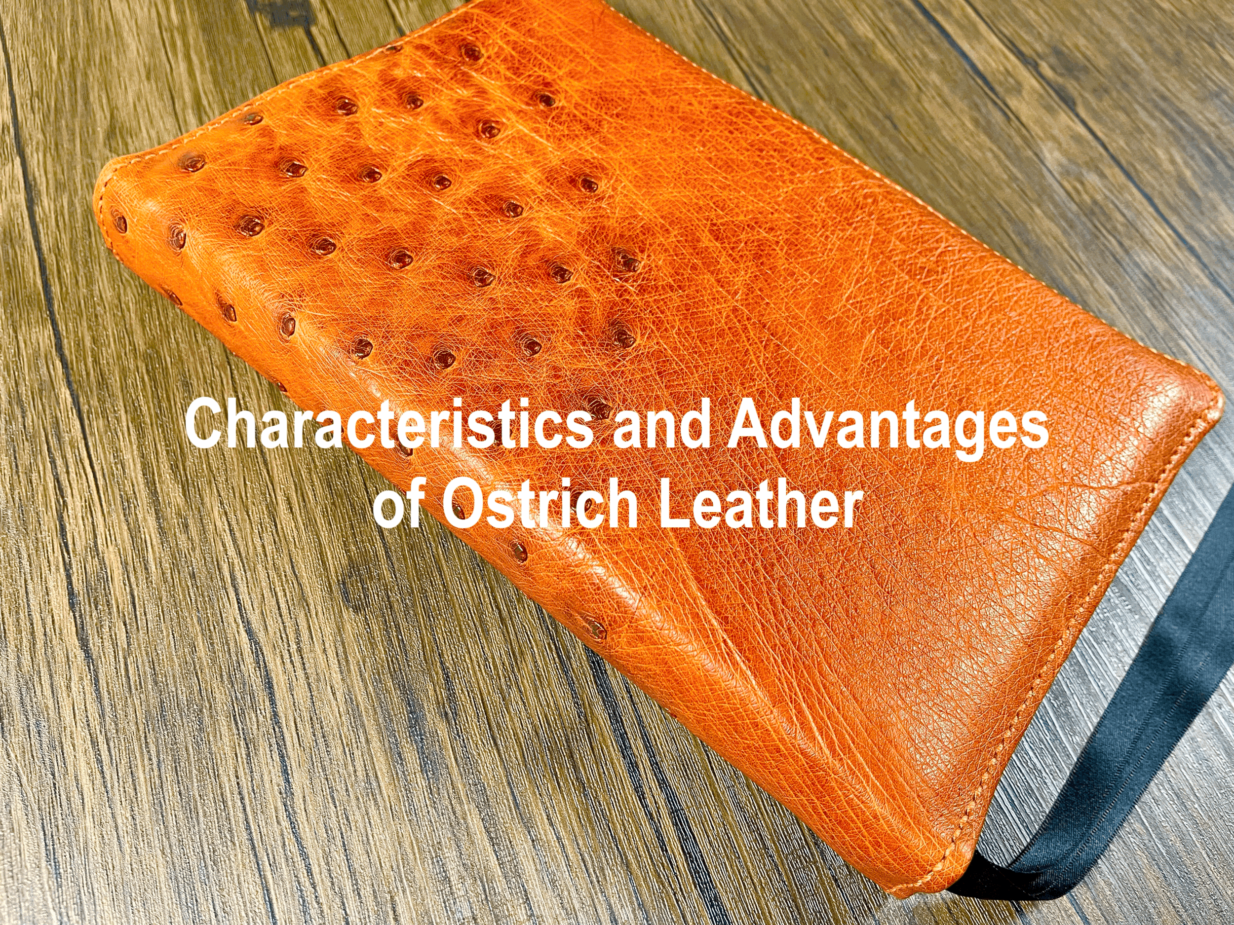 Characteristic and Advantages of Ostrich Leather