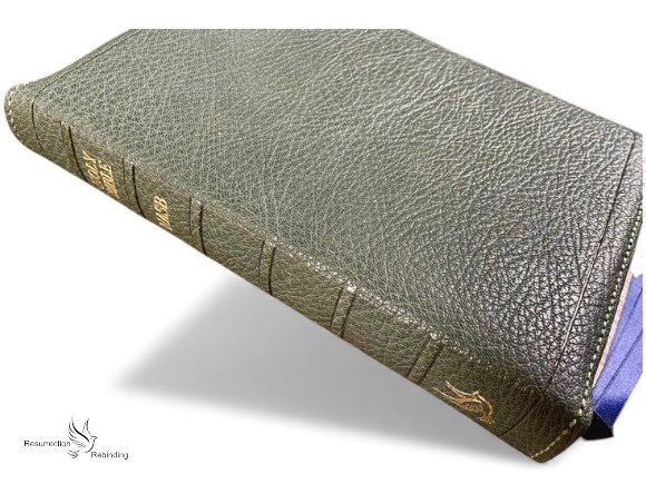 Forest green Levant.jpg