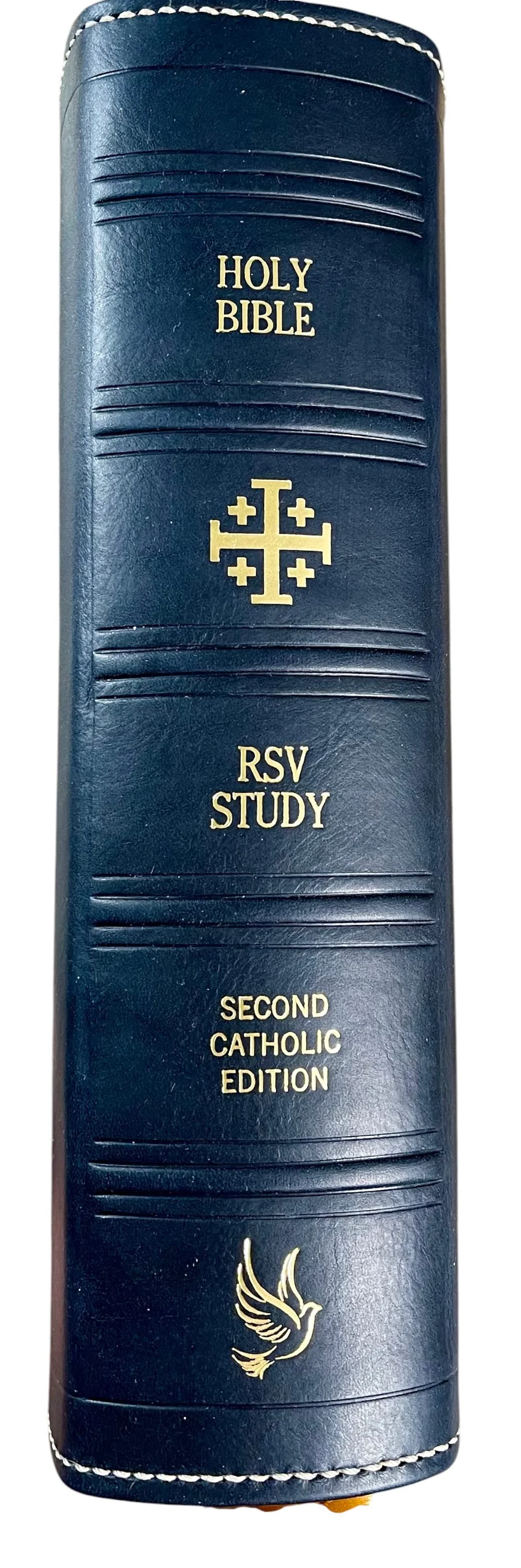 Scripture Ribs Design Your Bible's Spine — Resurrection Rebinding